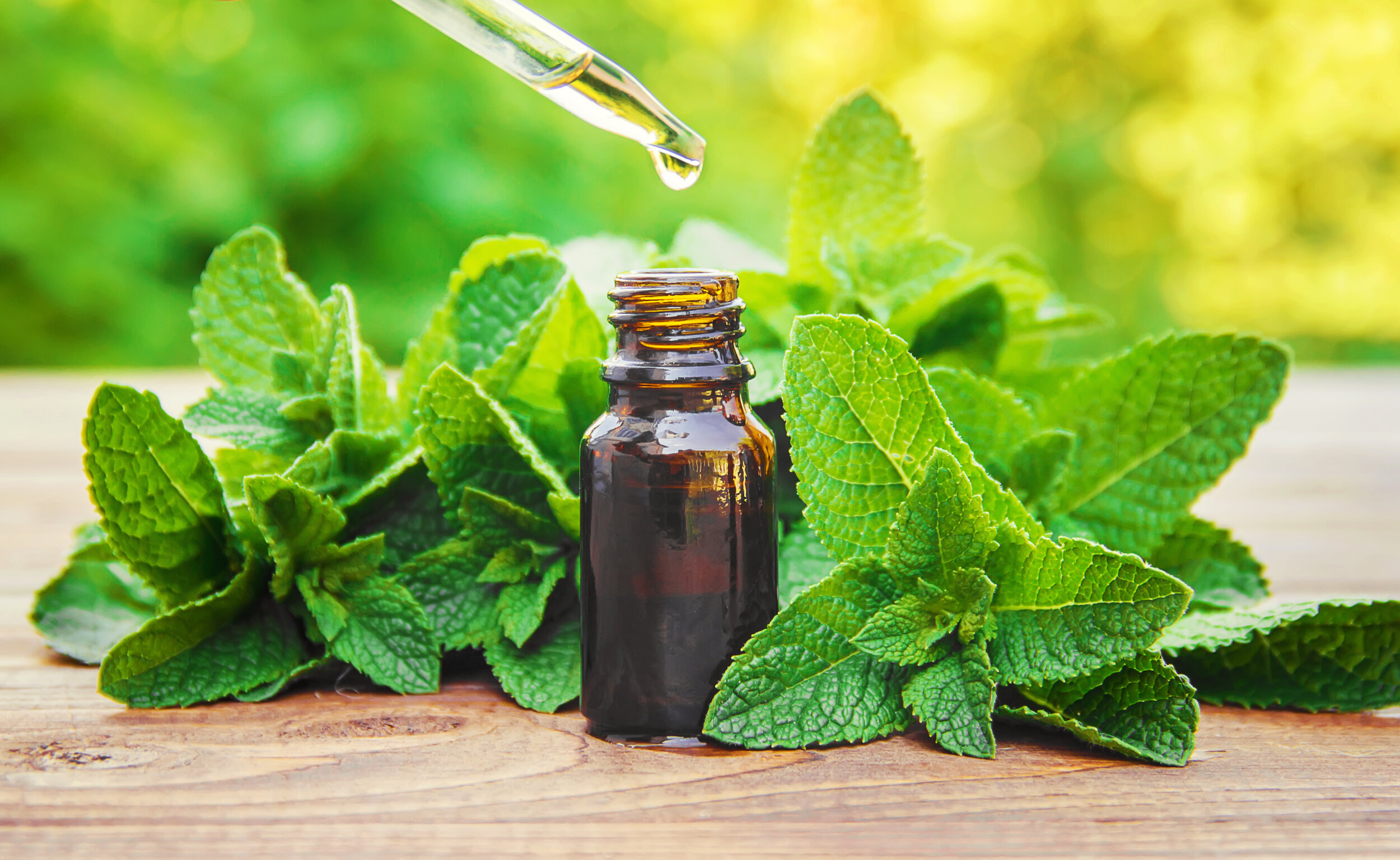Benefits Of Mint For Skin And Hair
