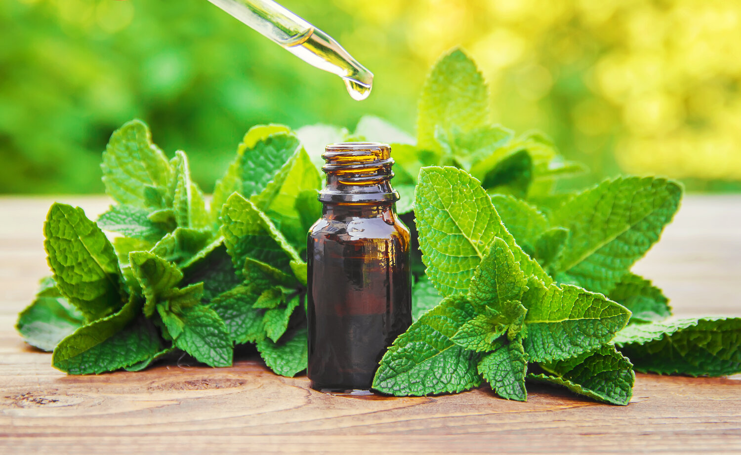 Benefits of Peppermint Essential Oil for Skin Care and Health I How to Use and Safety Precautions — Isabella's Clearly