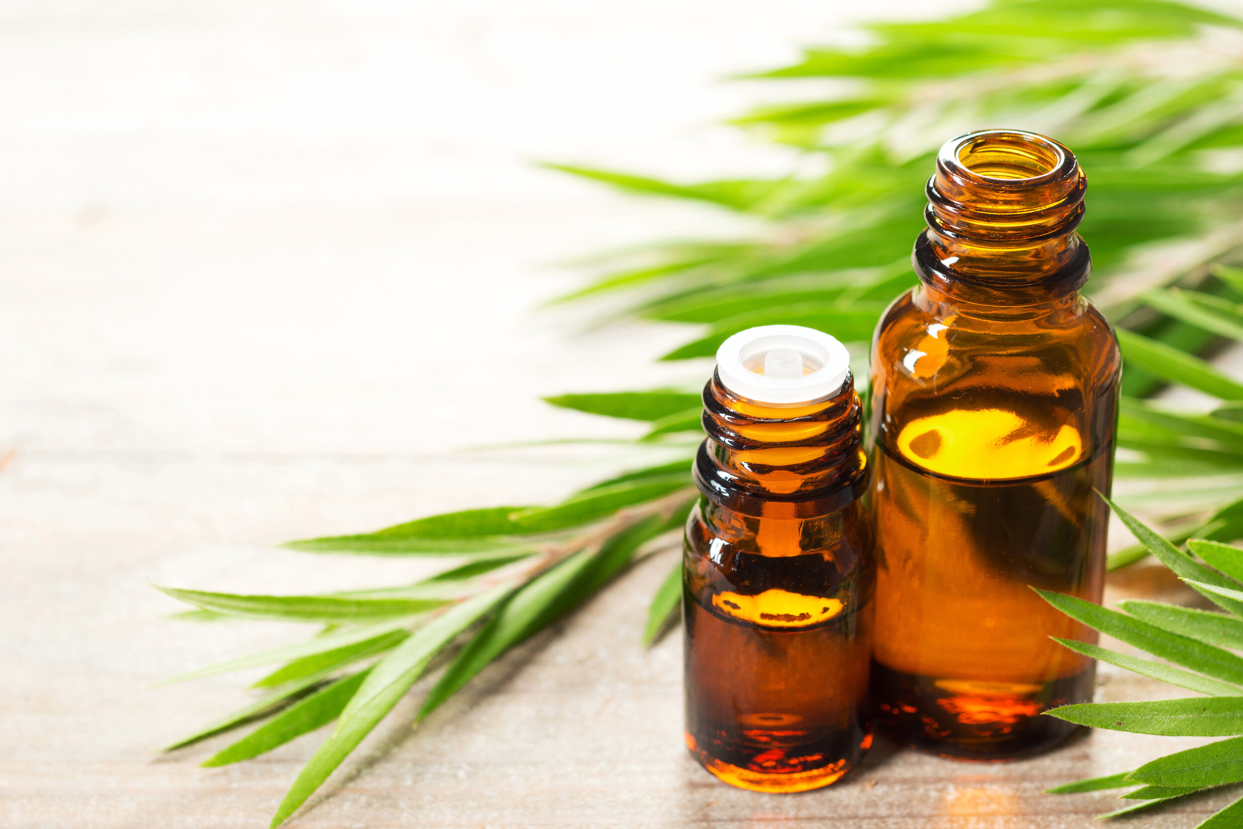 Benefits and Uses of Tea Tree Essential Oil for Hair, Skin, Health | Acne,  Fungus, Bugs and More — Isabella's Clearly
