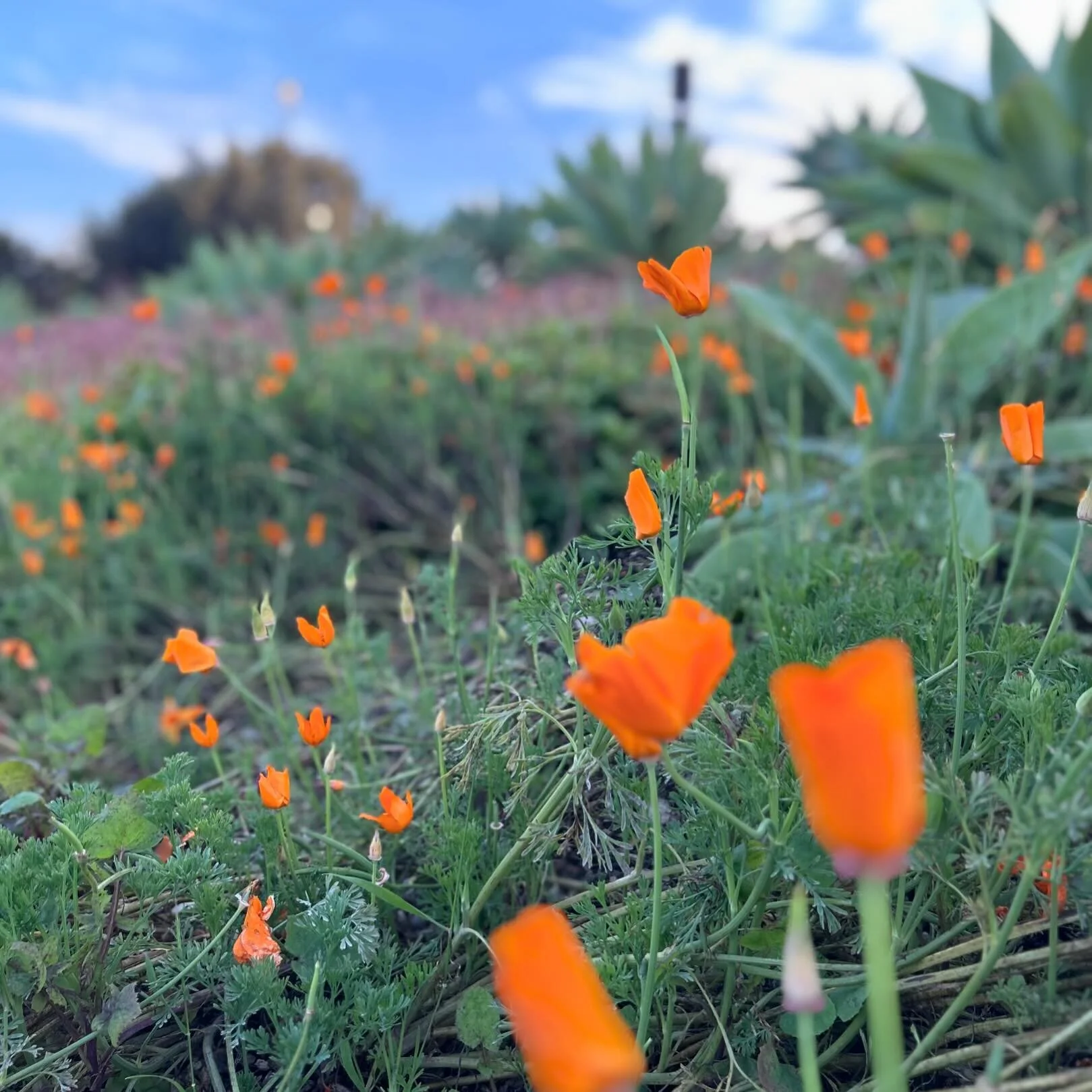 Spring: a lovely reminder of how beautiful change can truly be. &mdash;Unknown 

🌷🌷🌷