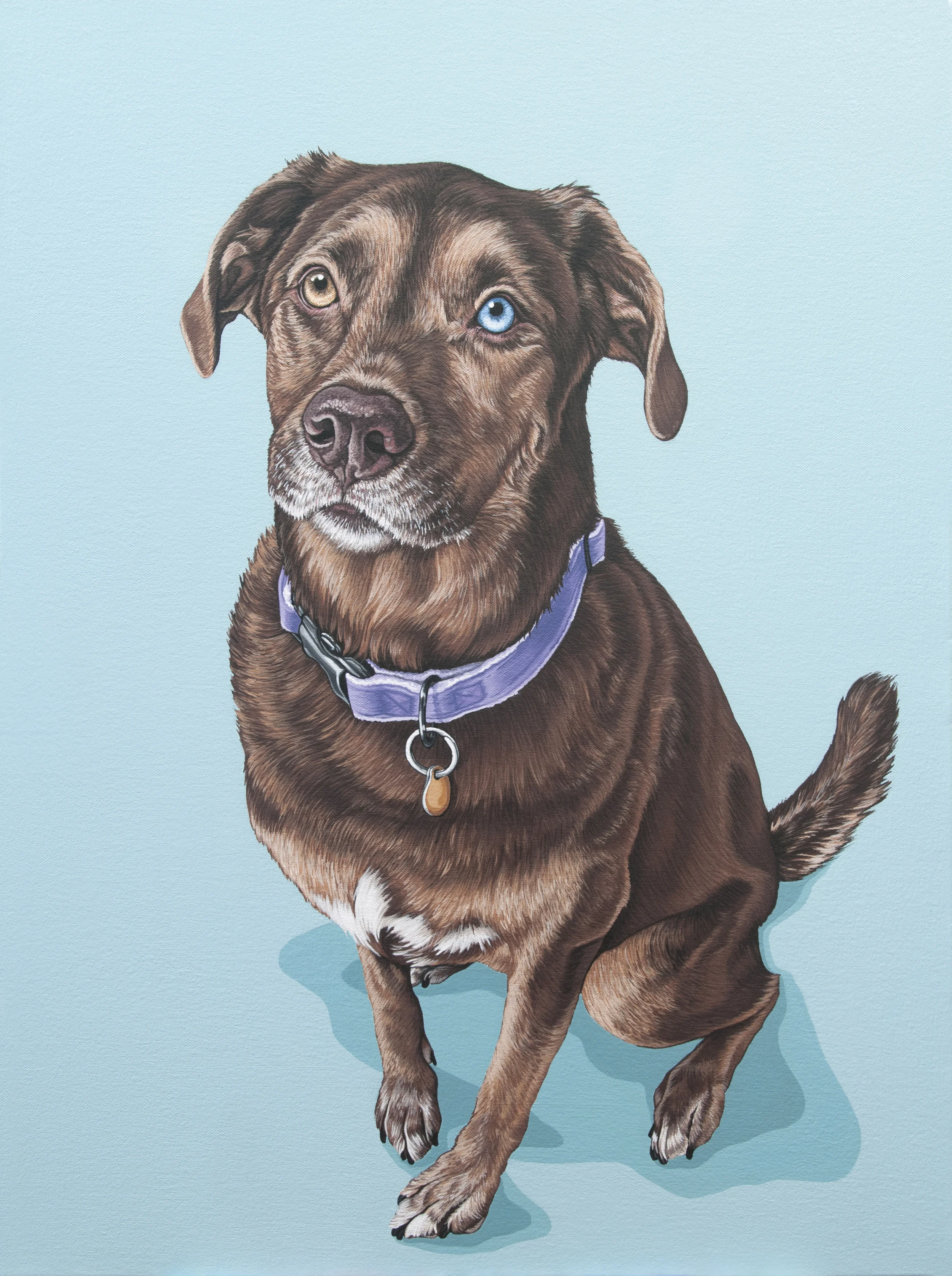 "Sydney", latex enamel on canvas, 18" x 24", 2015