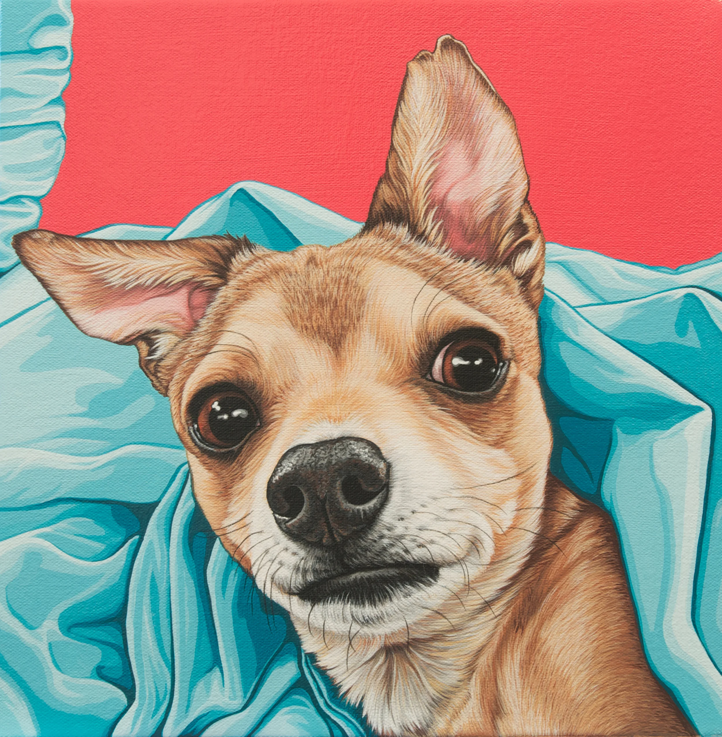 "Bruno", latex enamel on canvas, 12"x 12", 2015