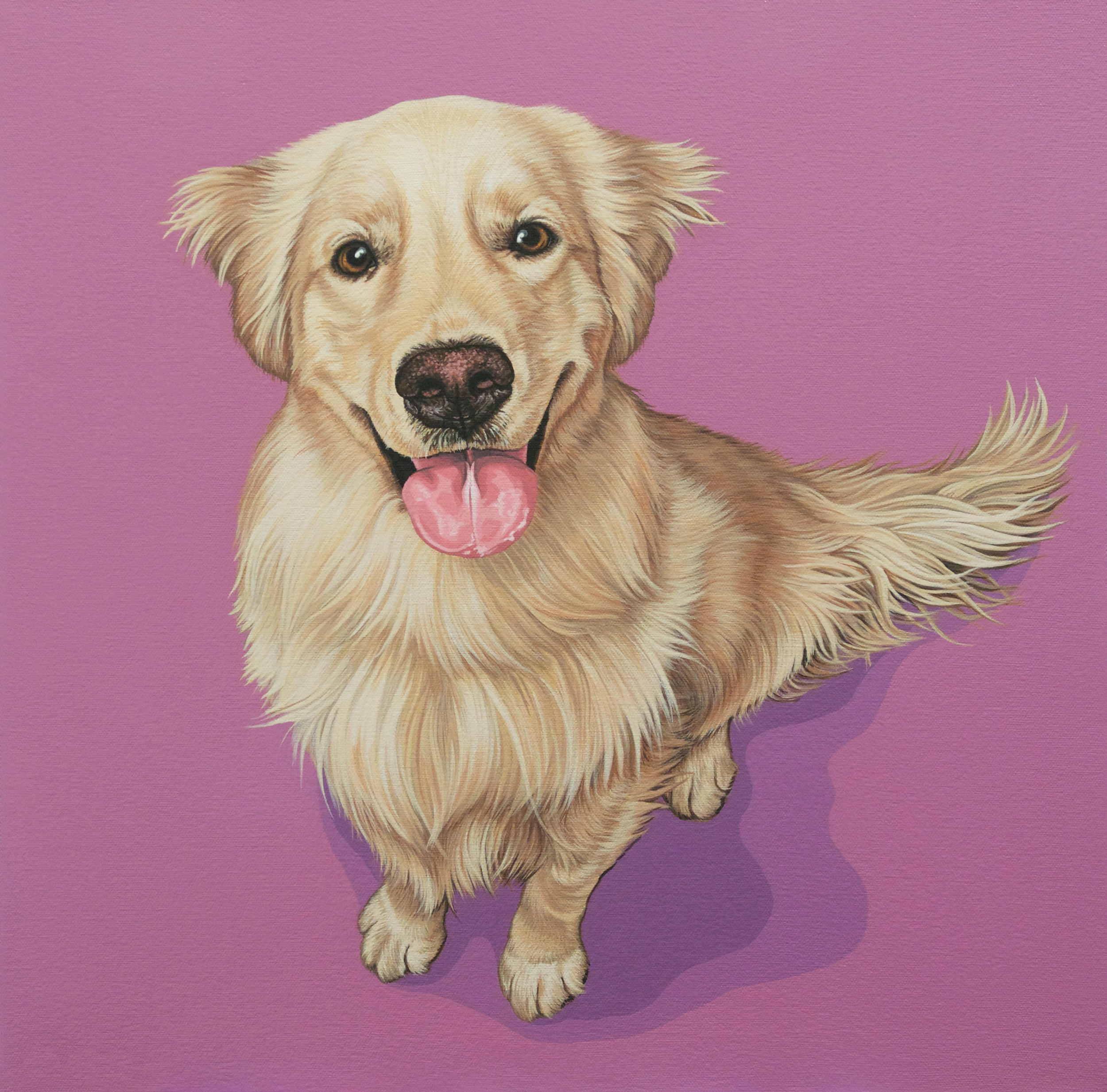 "Jax", latex enamel on canvas, 18"x 18", 2016