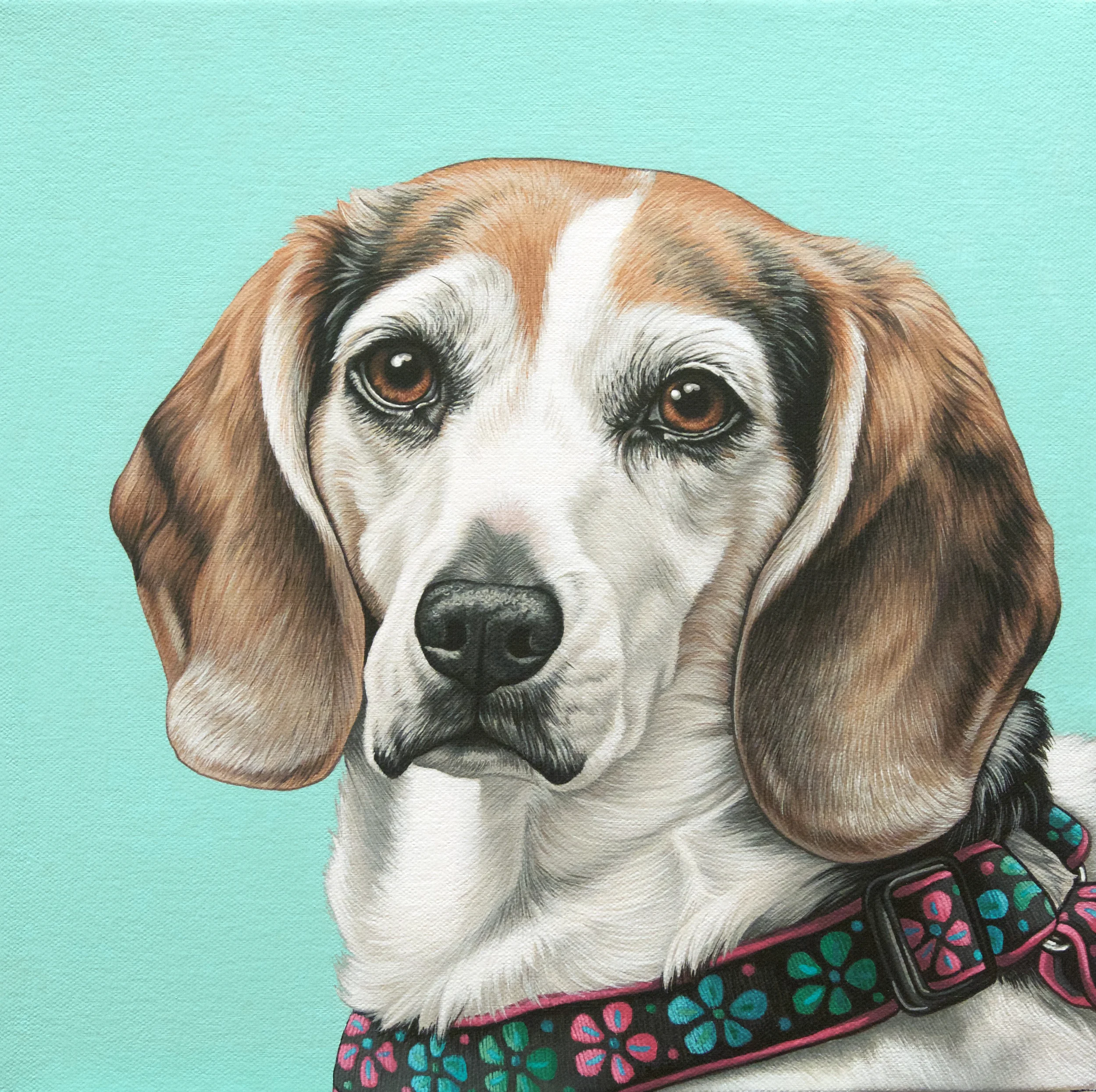 "Sammy", latex enamel on canvas, 12"x 12", 2016