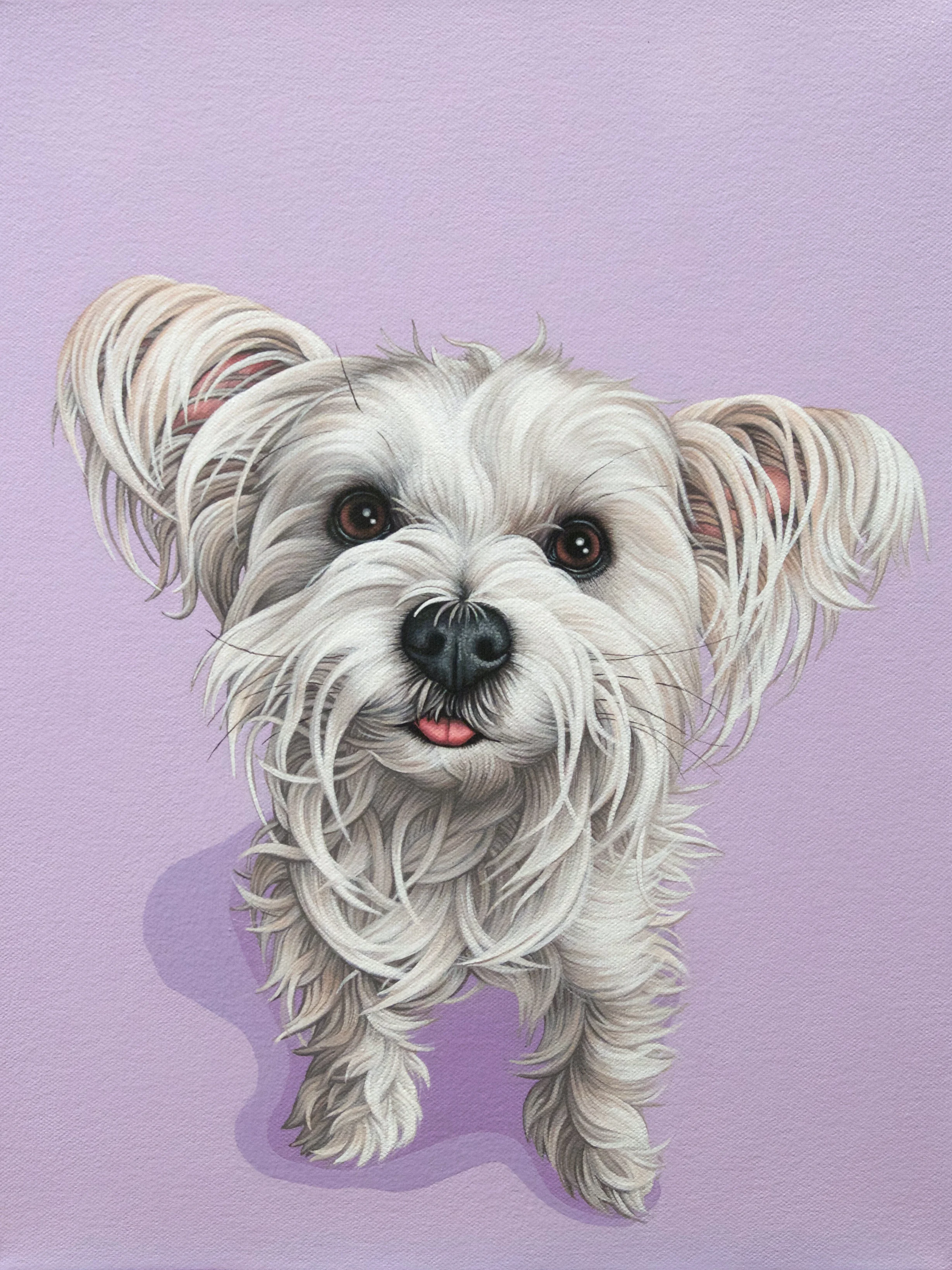 "Daisy", latex enamel on canvas, 12" x 16", 2017