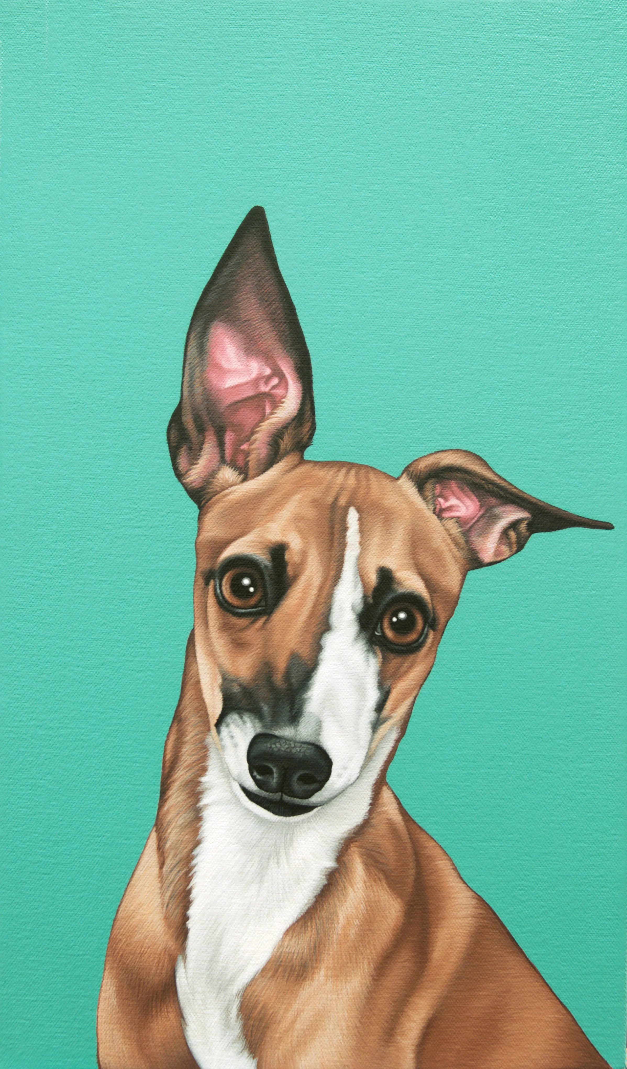 "Warren", latex enamel on canvas, 11" x 17", 2017