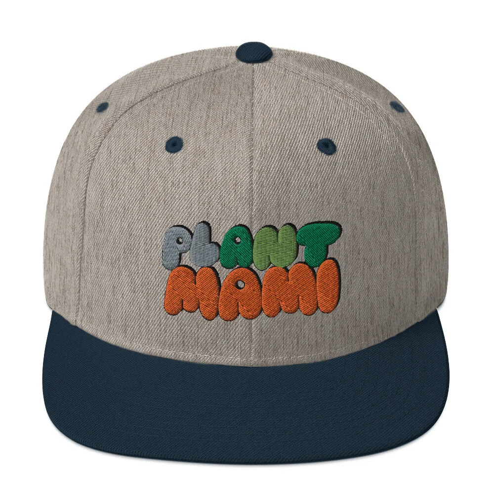 classic-snapback-heather-grey-navy-front-60c8459071fa5.jpg