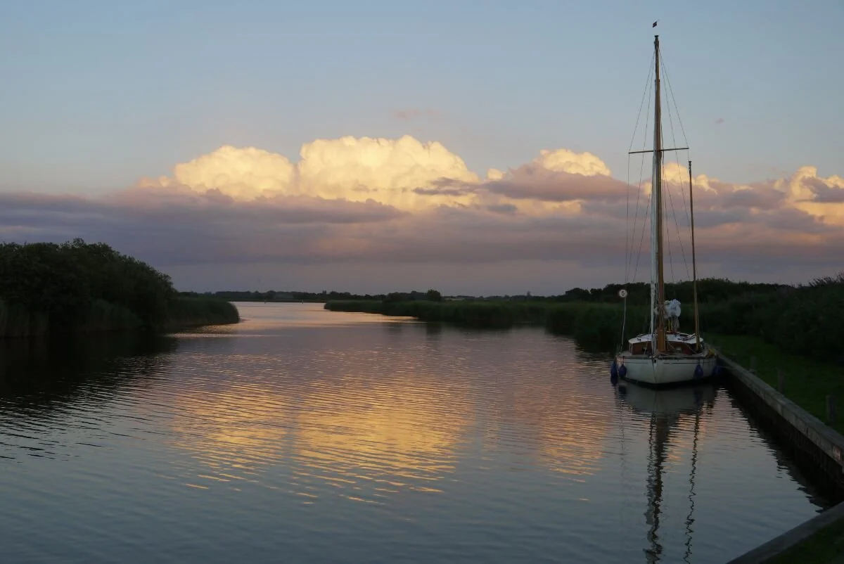 wild+moorings+.jpg