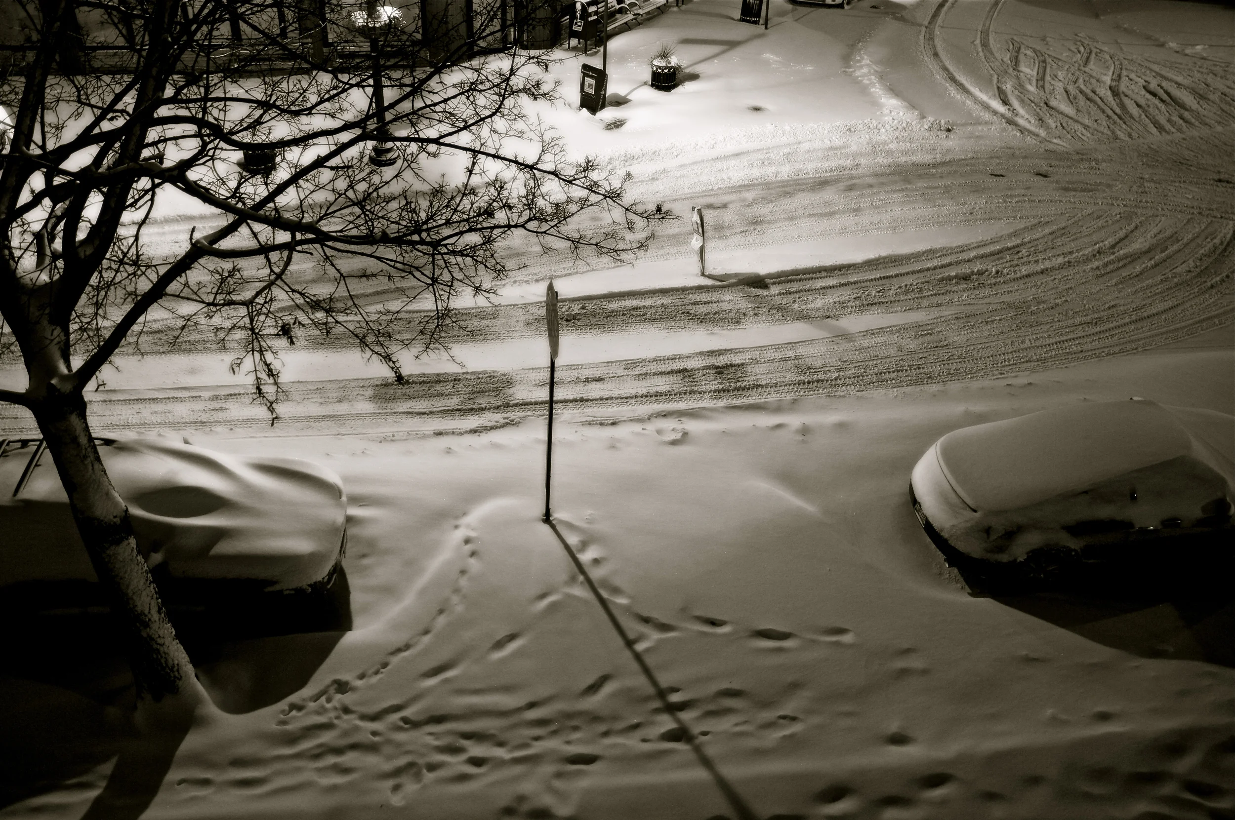  A snowy night. Scarsdale, New York. 