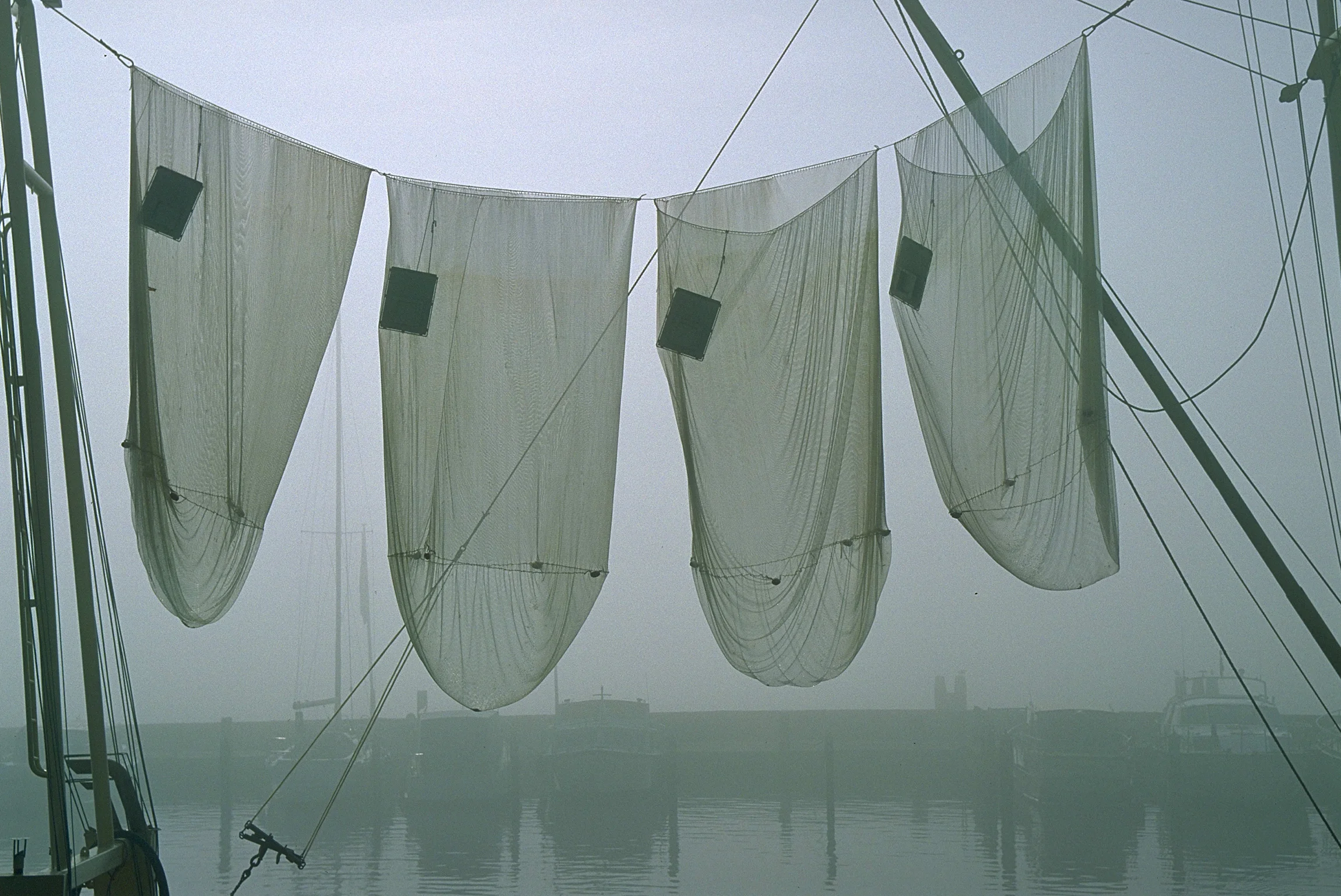 Fishing nets. Holland.