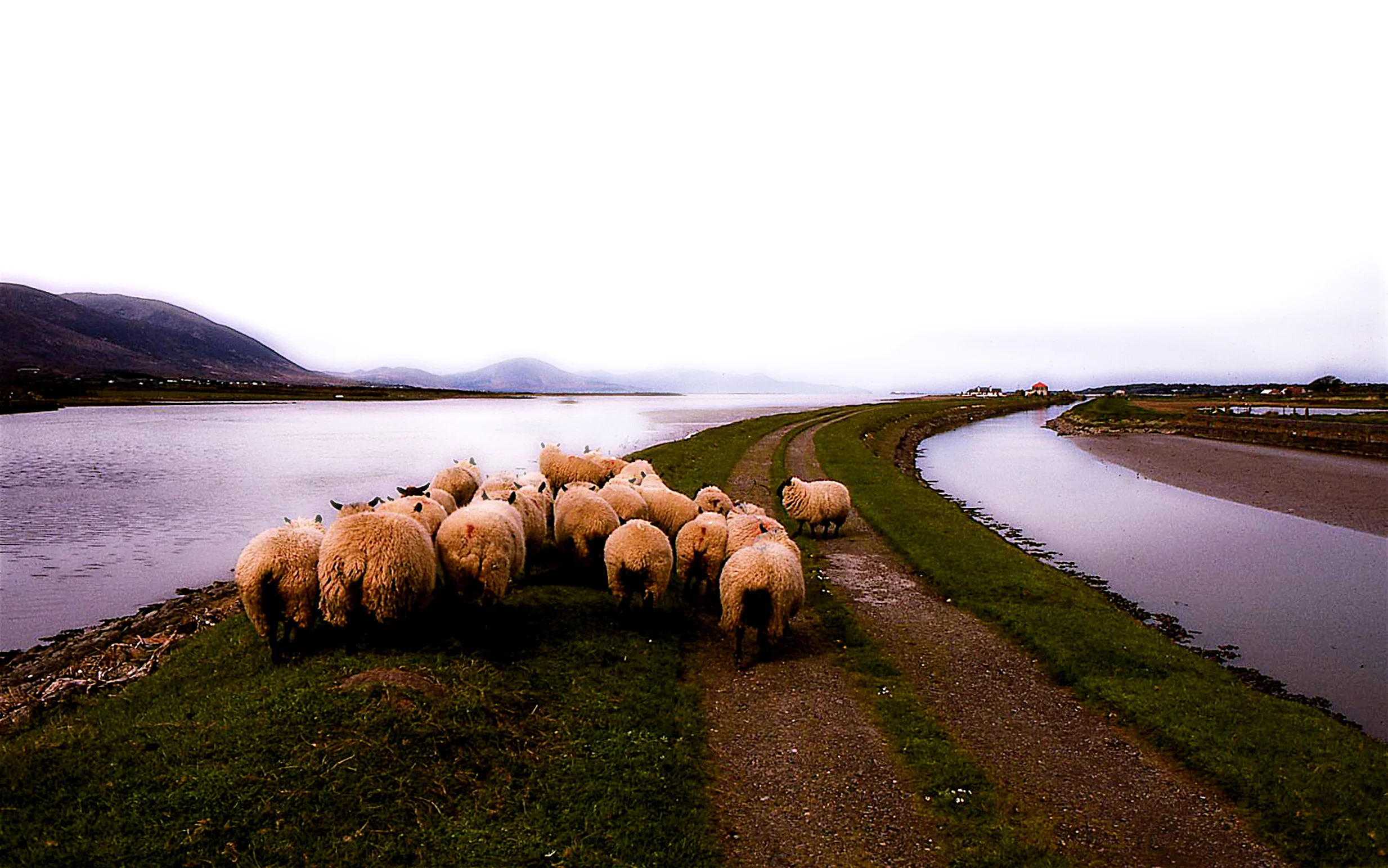 Ireland.