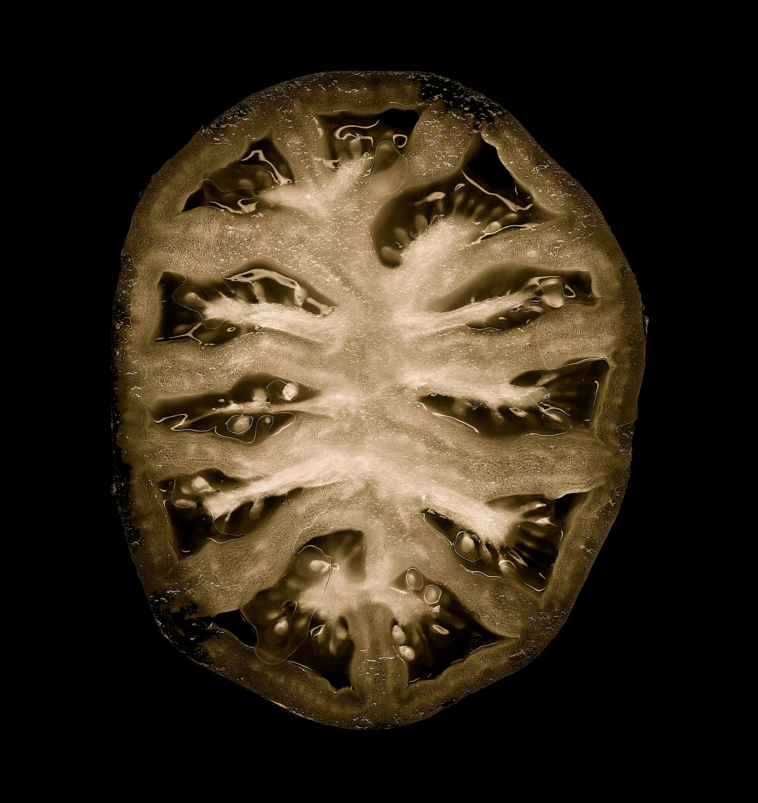 Tomato.
