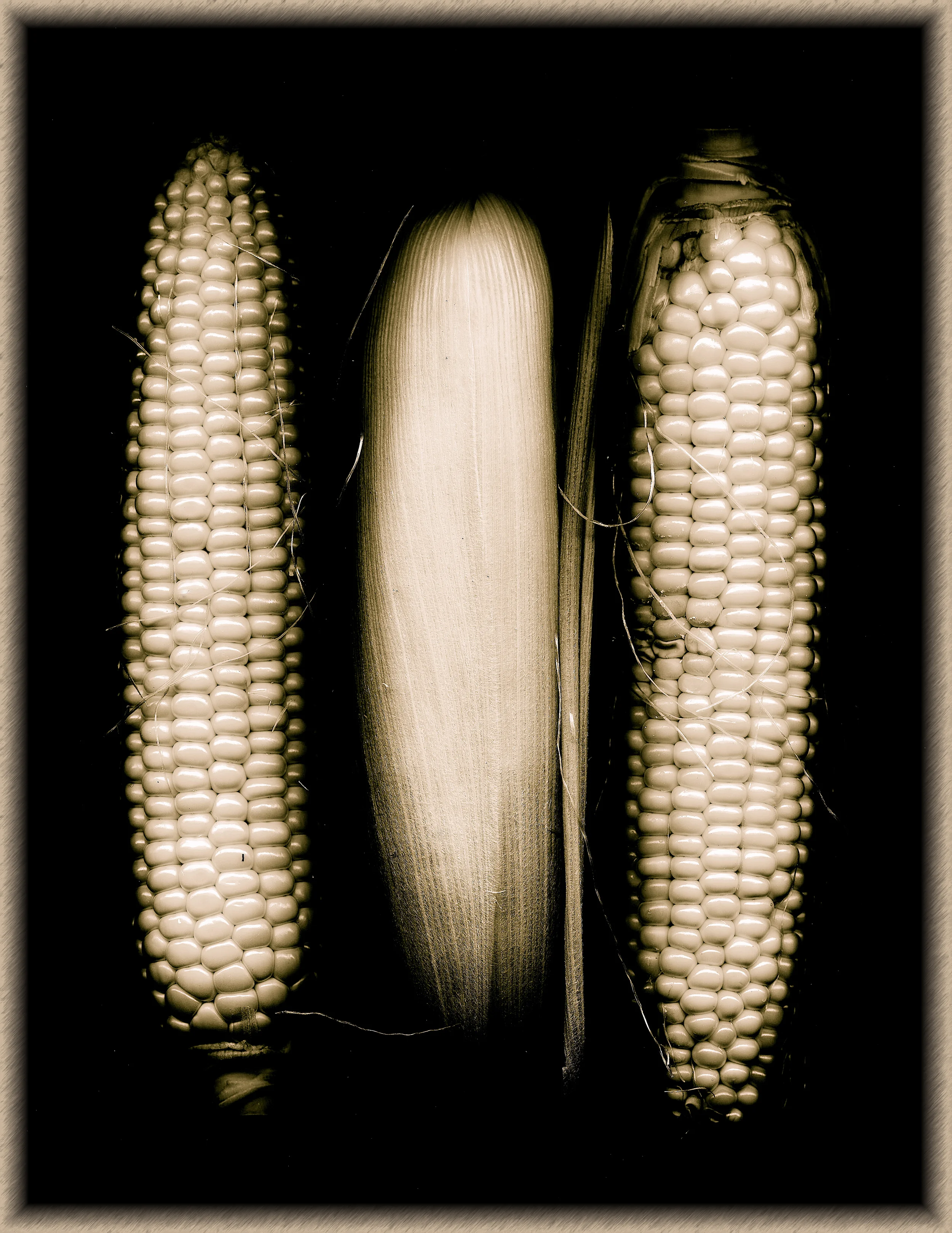 Corn.