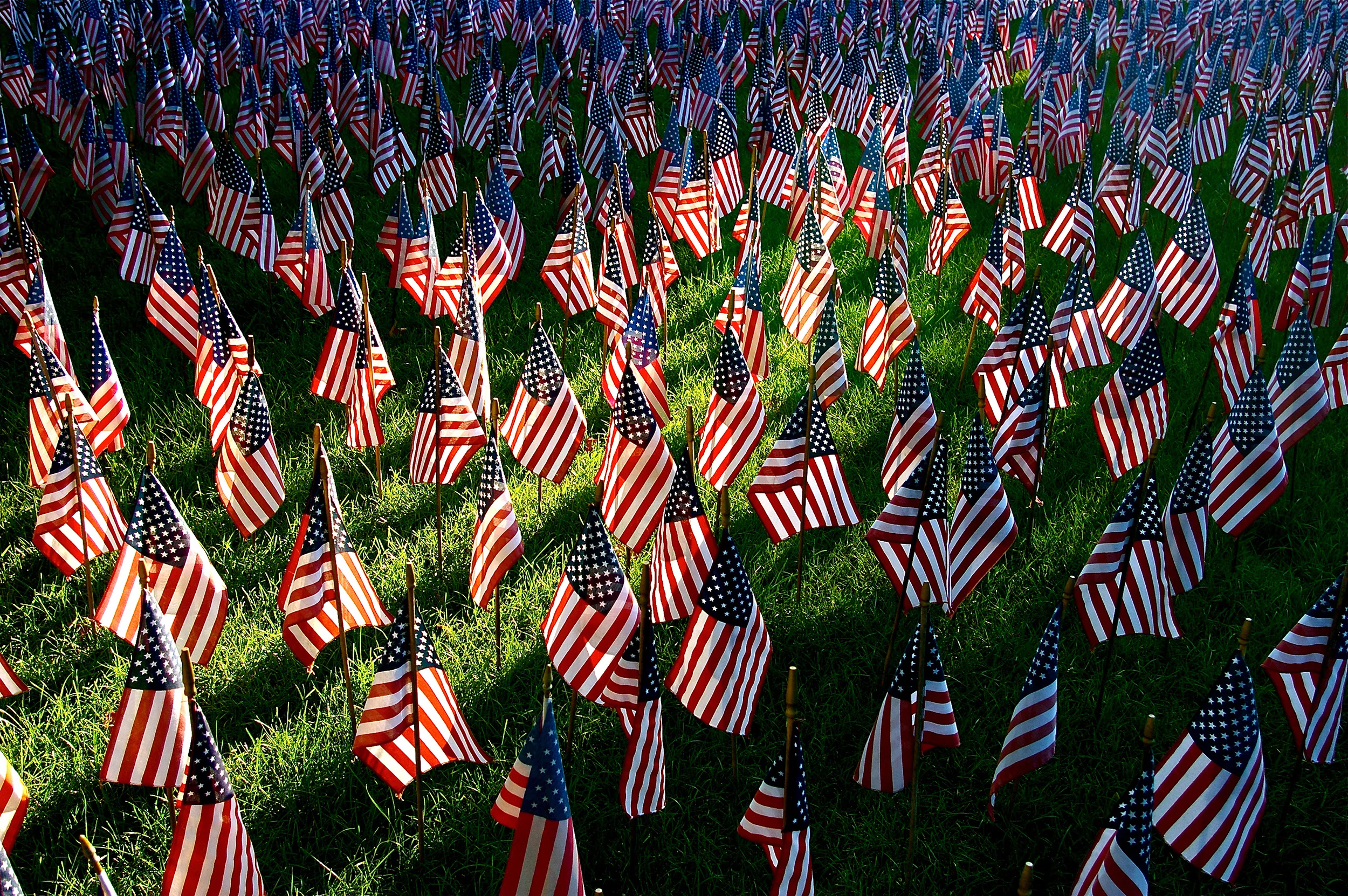 Field of flags.