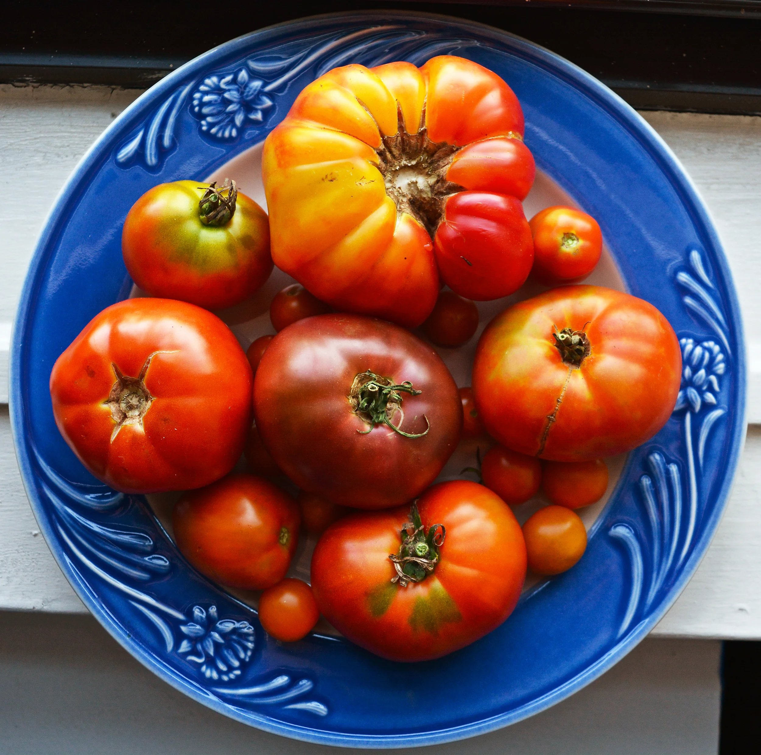 SUMMER TOMATOES