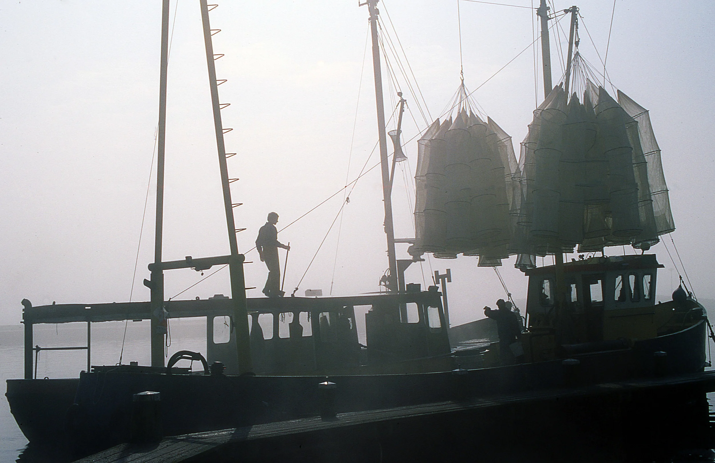 Holland fishermen.