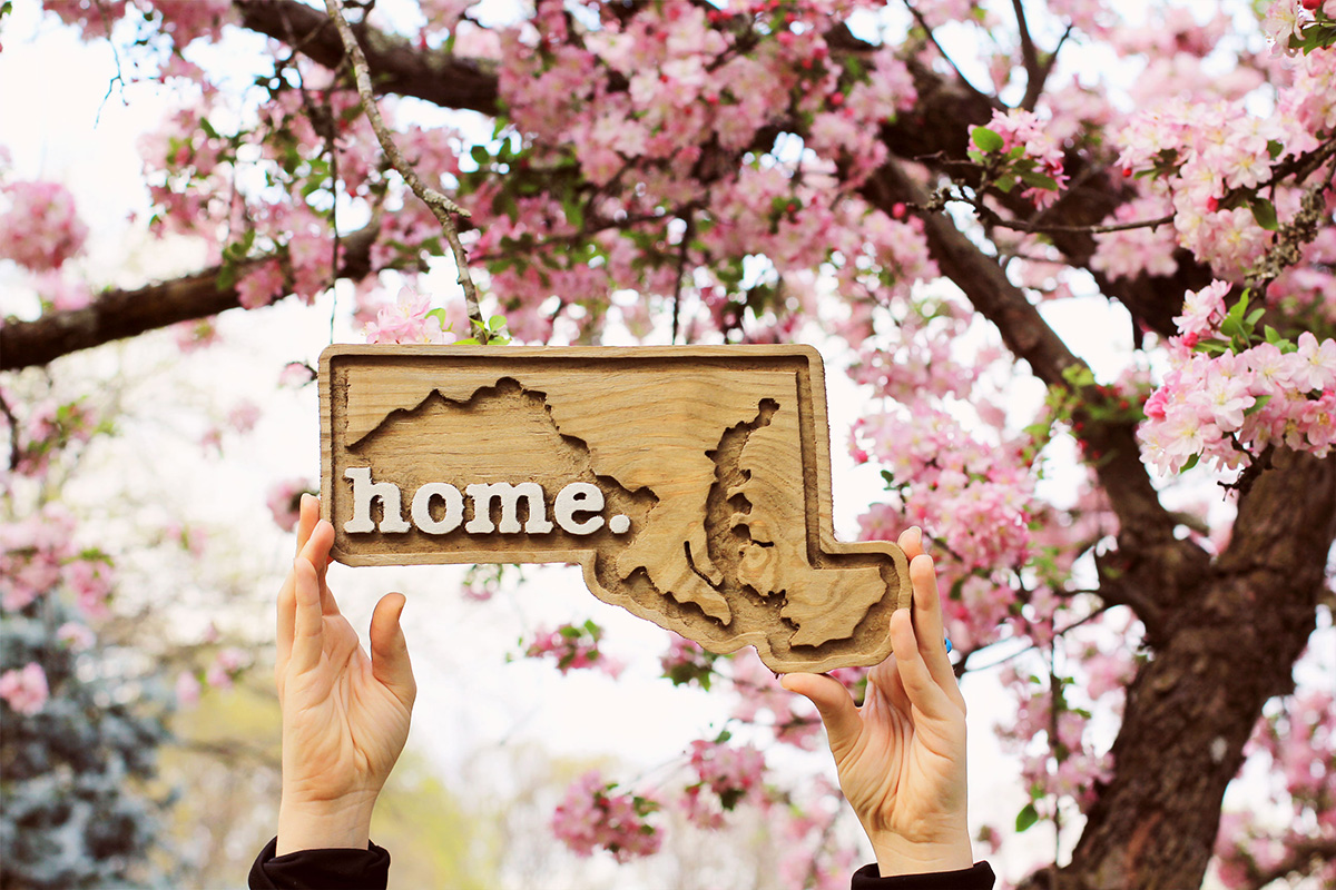 Maryland home wood plaque
