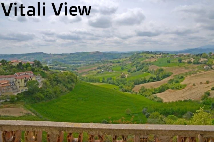 Palazzo Vitali view.JPG