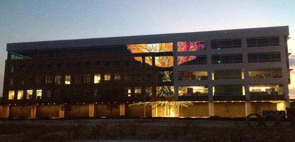 The Birdhouse . HomeAway CO . Austin, TX . 2014