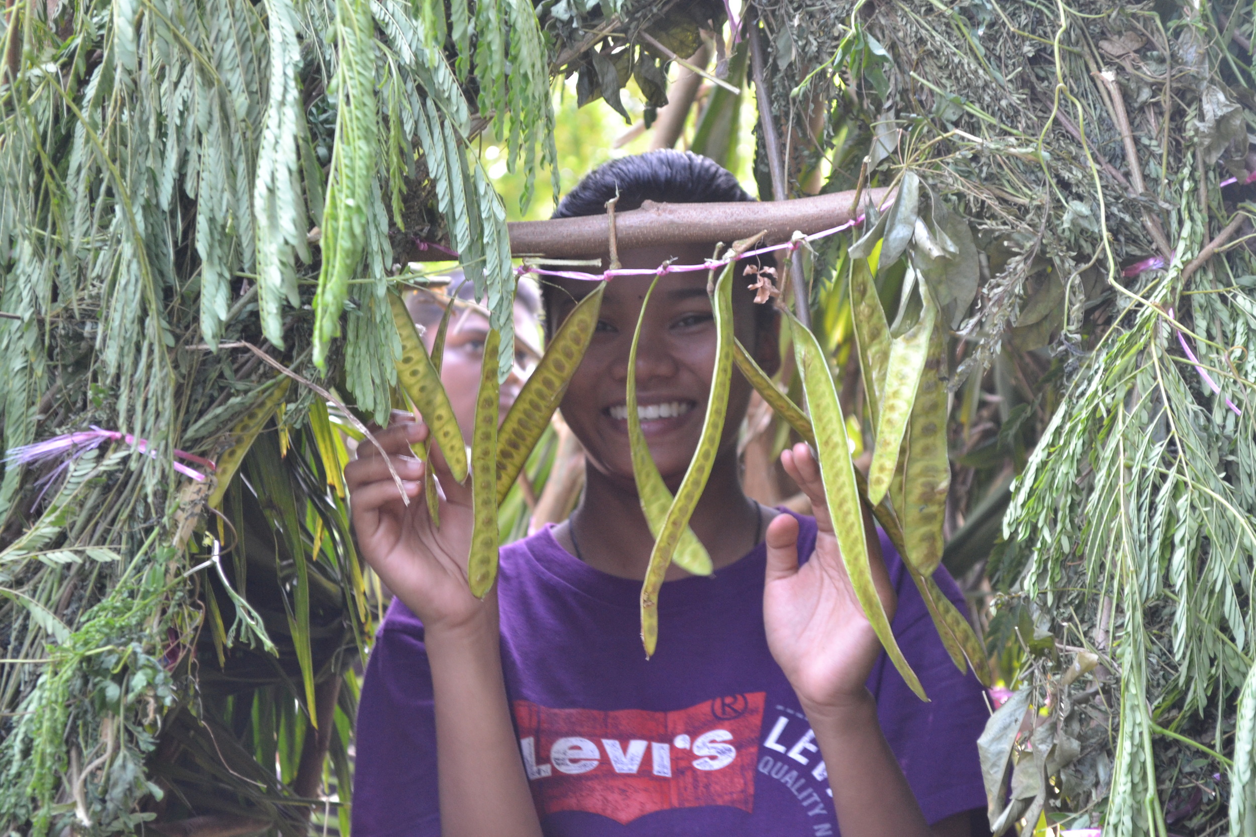 Seed pods as decorations, KL, Malaysia