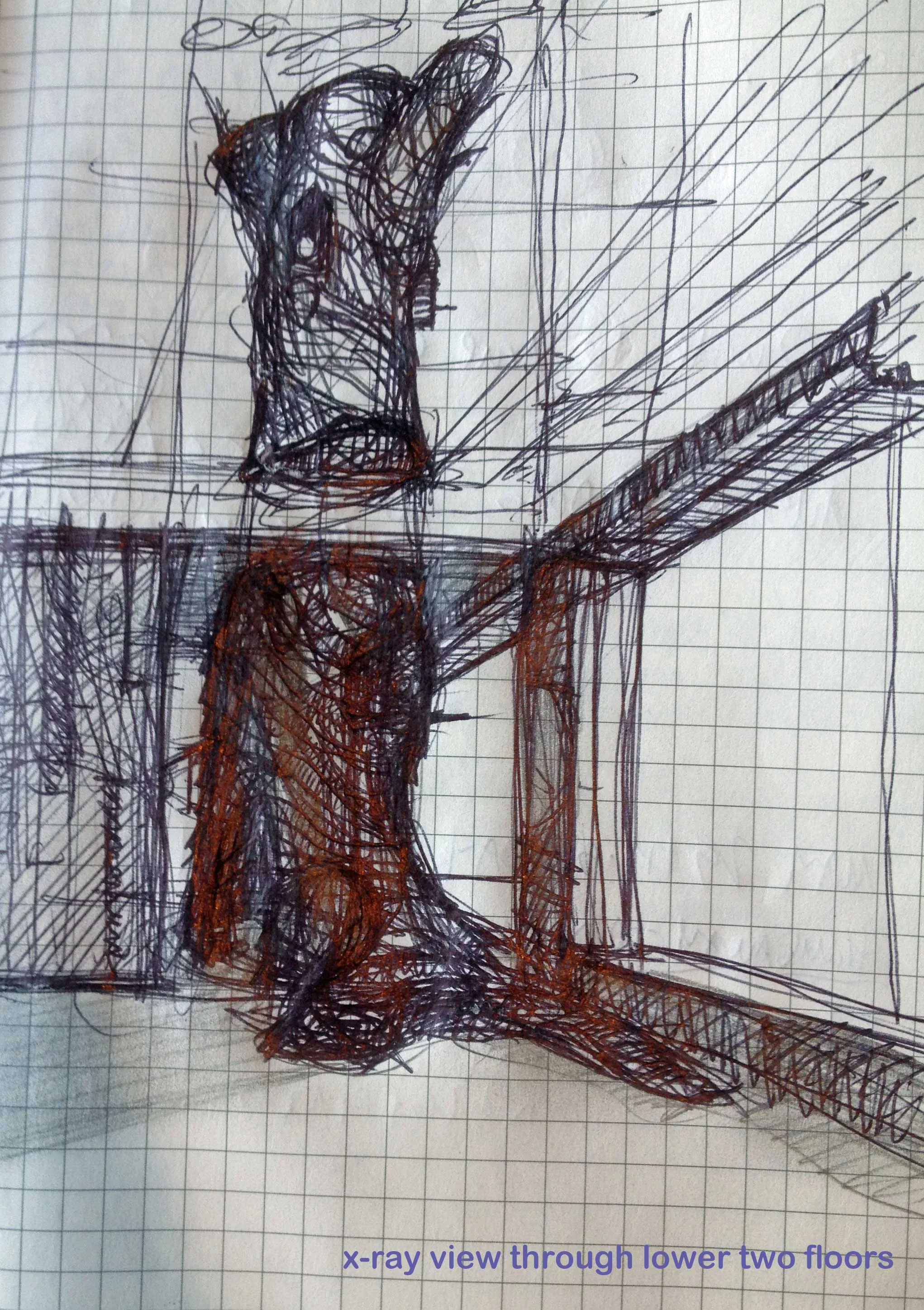 DD-x-ray-lower-floors.jpg