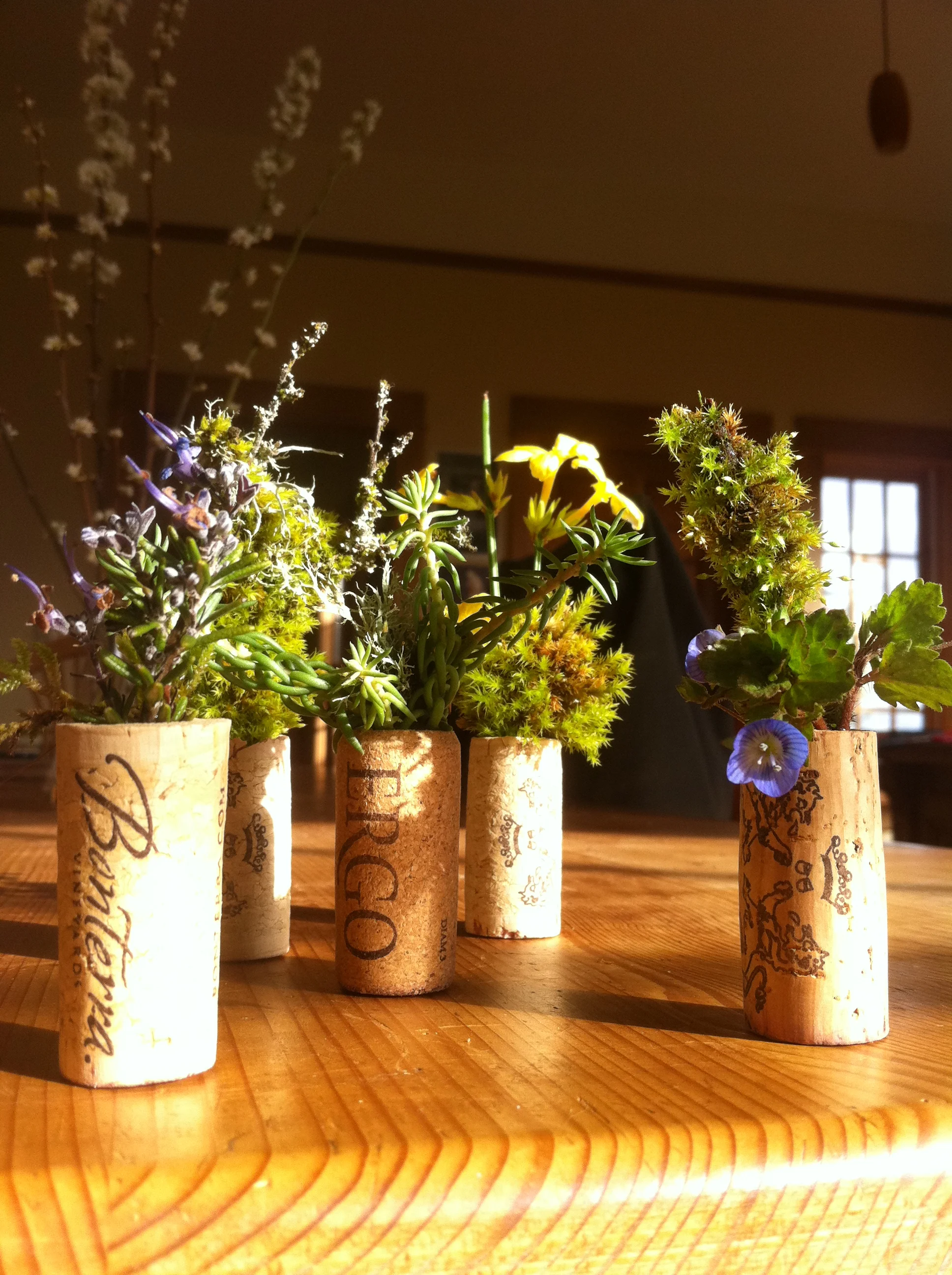 MicroCork planters collection