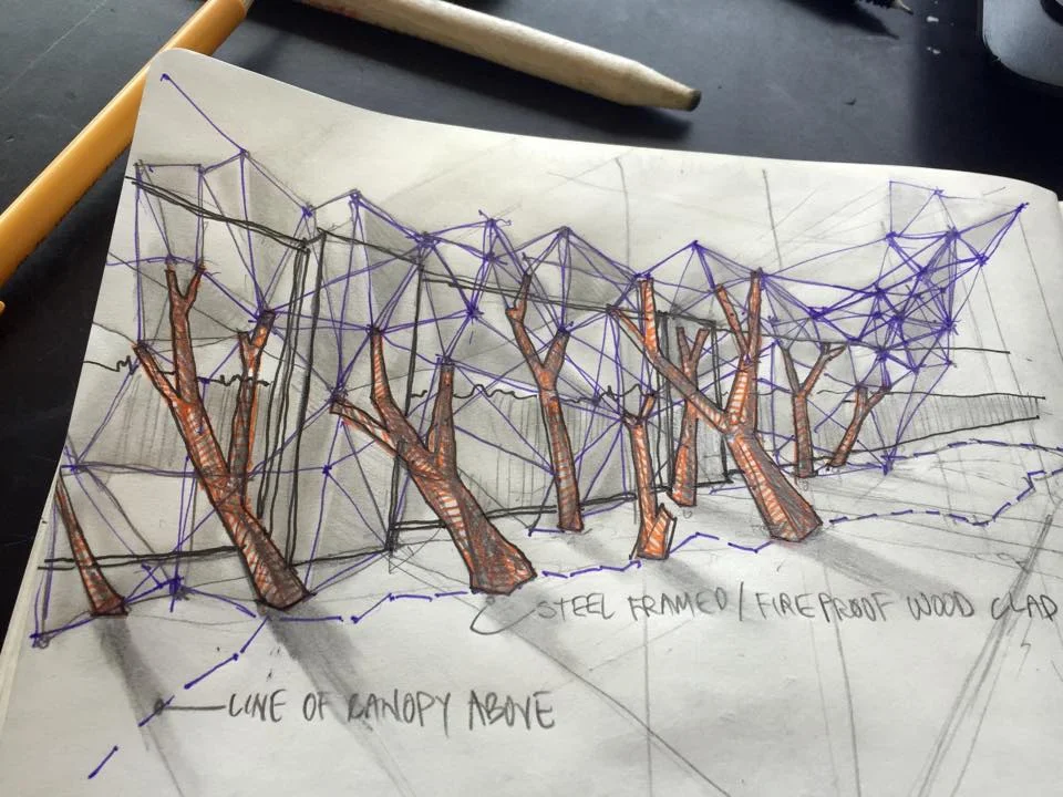 Birdhouse Tree canopy construction