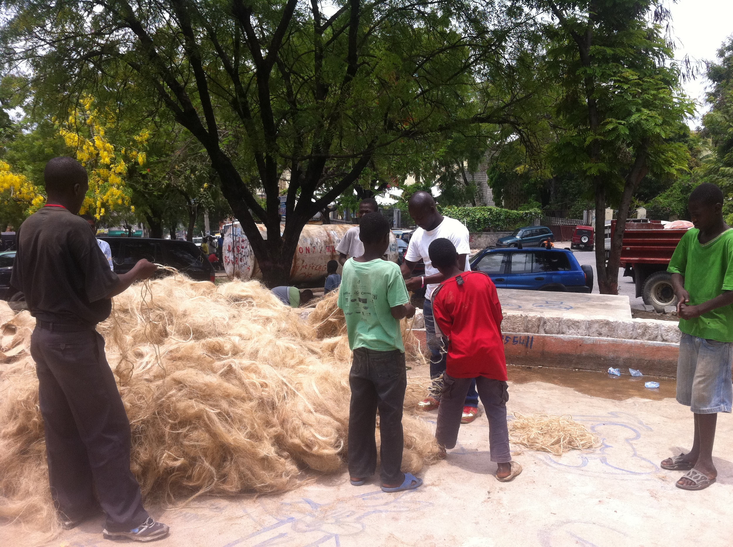 load of sisal grass from local producer