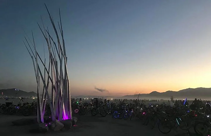 Playa Grass Ballet . Burning Man, NV . 2018