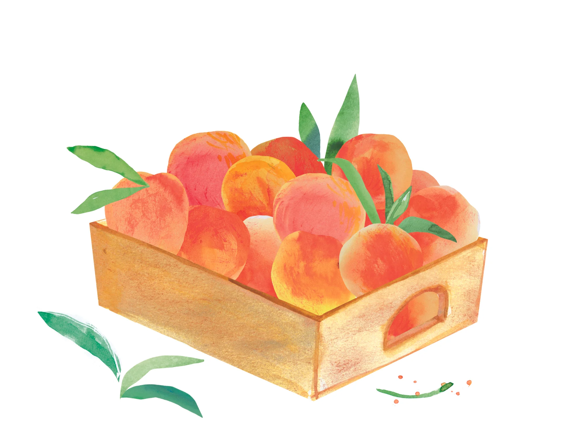 Peaches2.jpg