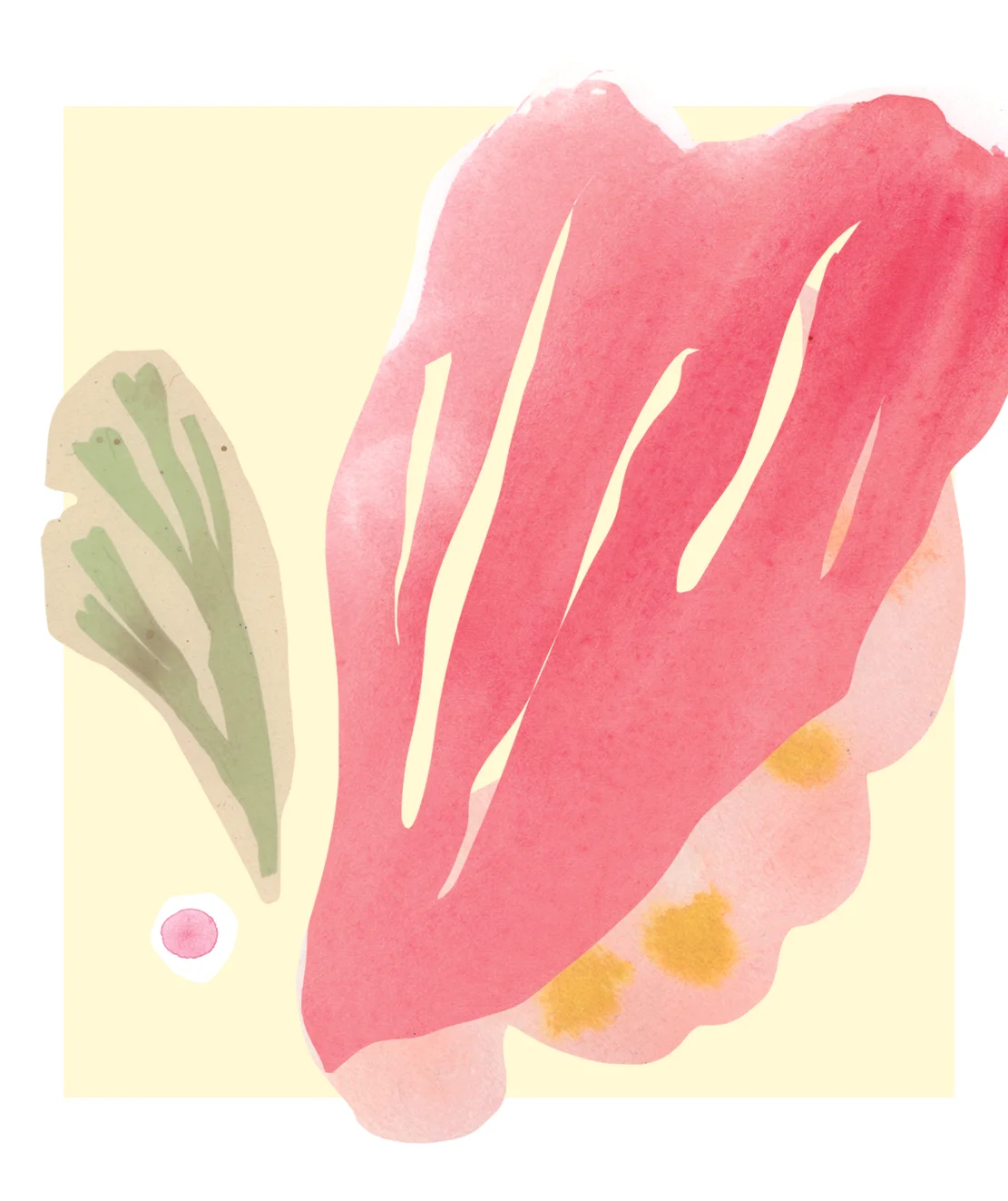 Summer_treasures_alga1.jpg