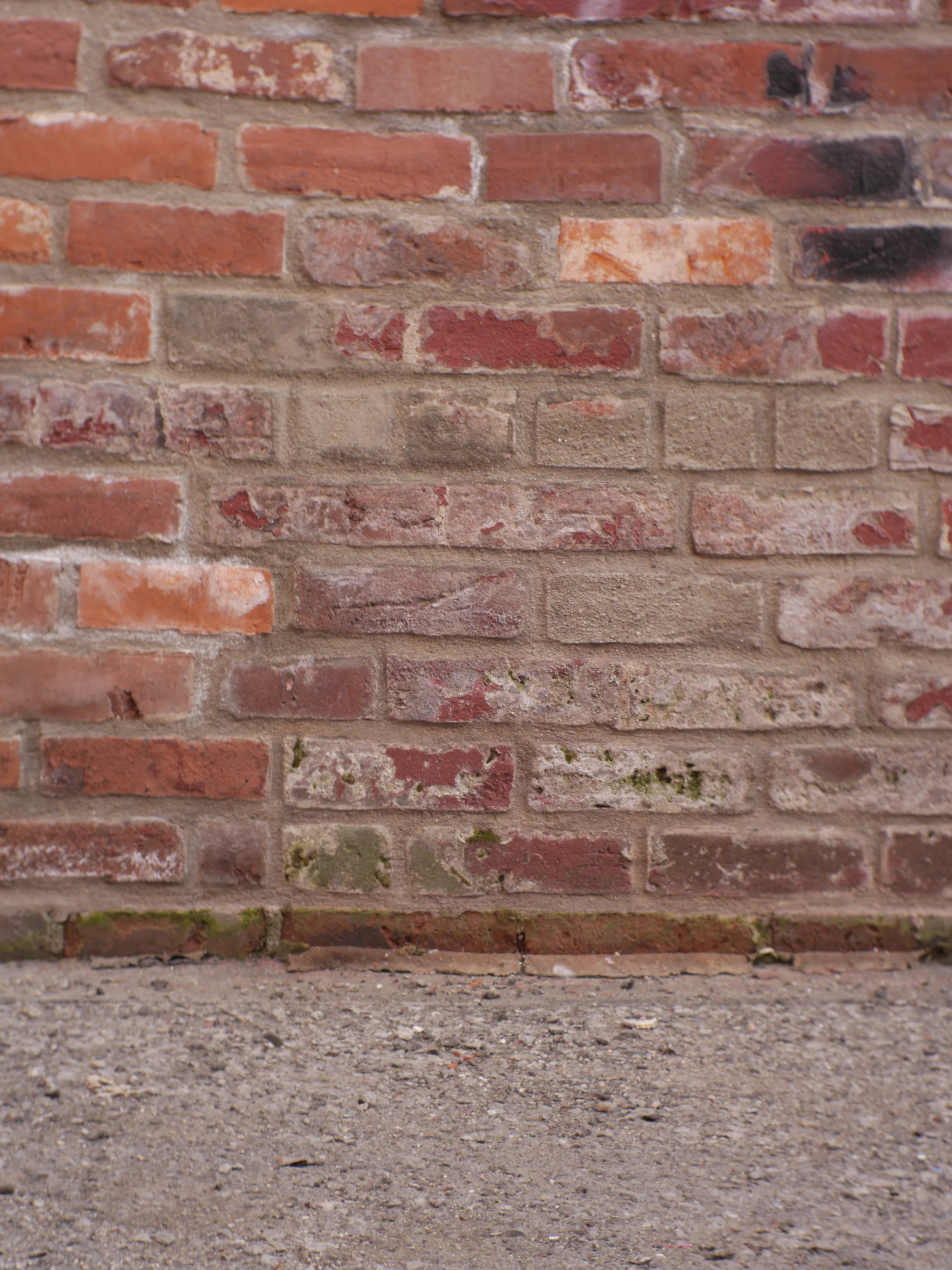 Does Christianity Have Anything to Say About Racial Reconciliation?