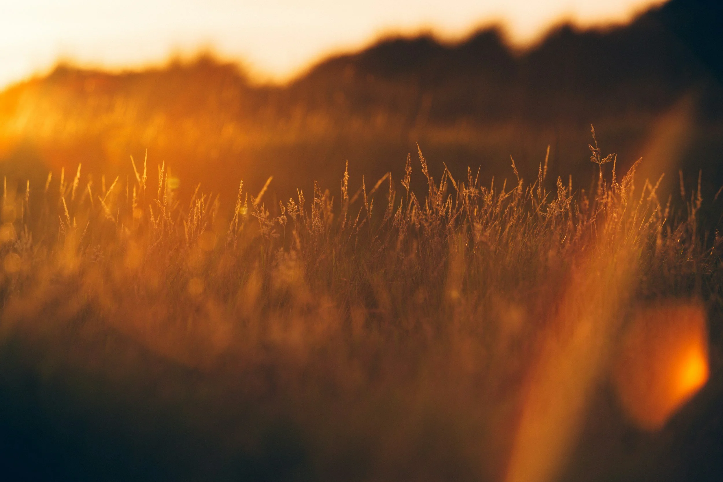 Trusting God with the Future of City Hope