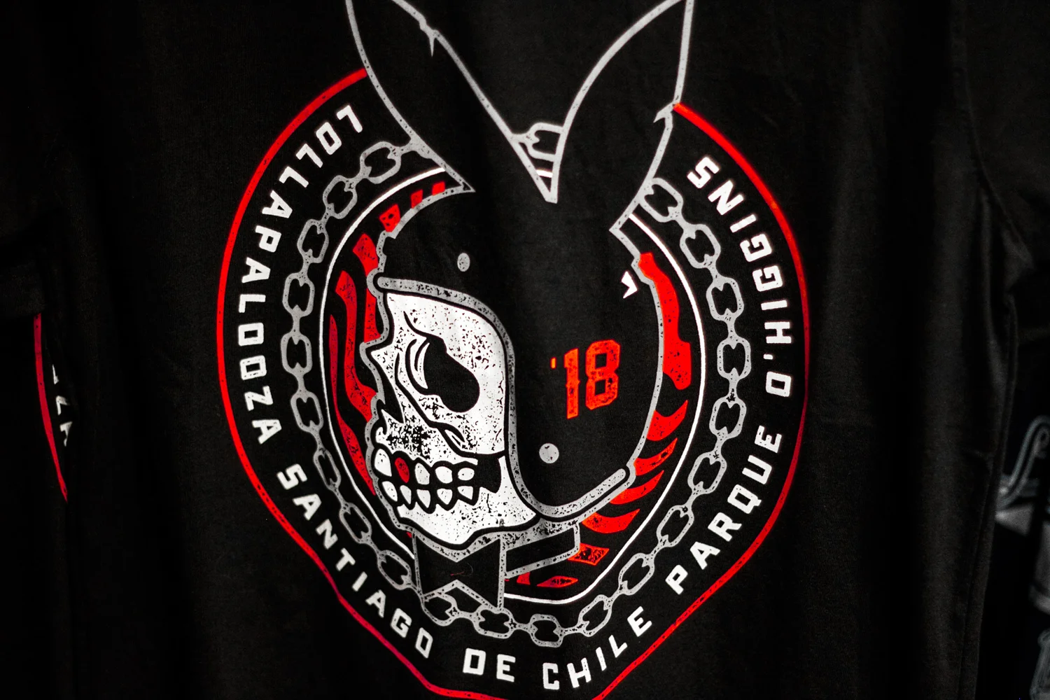 conejo-polera.jpg