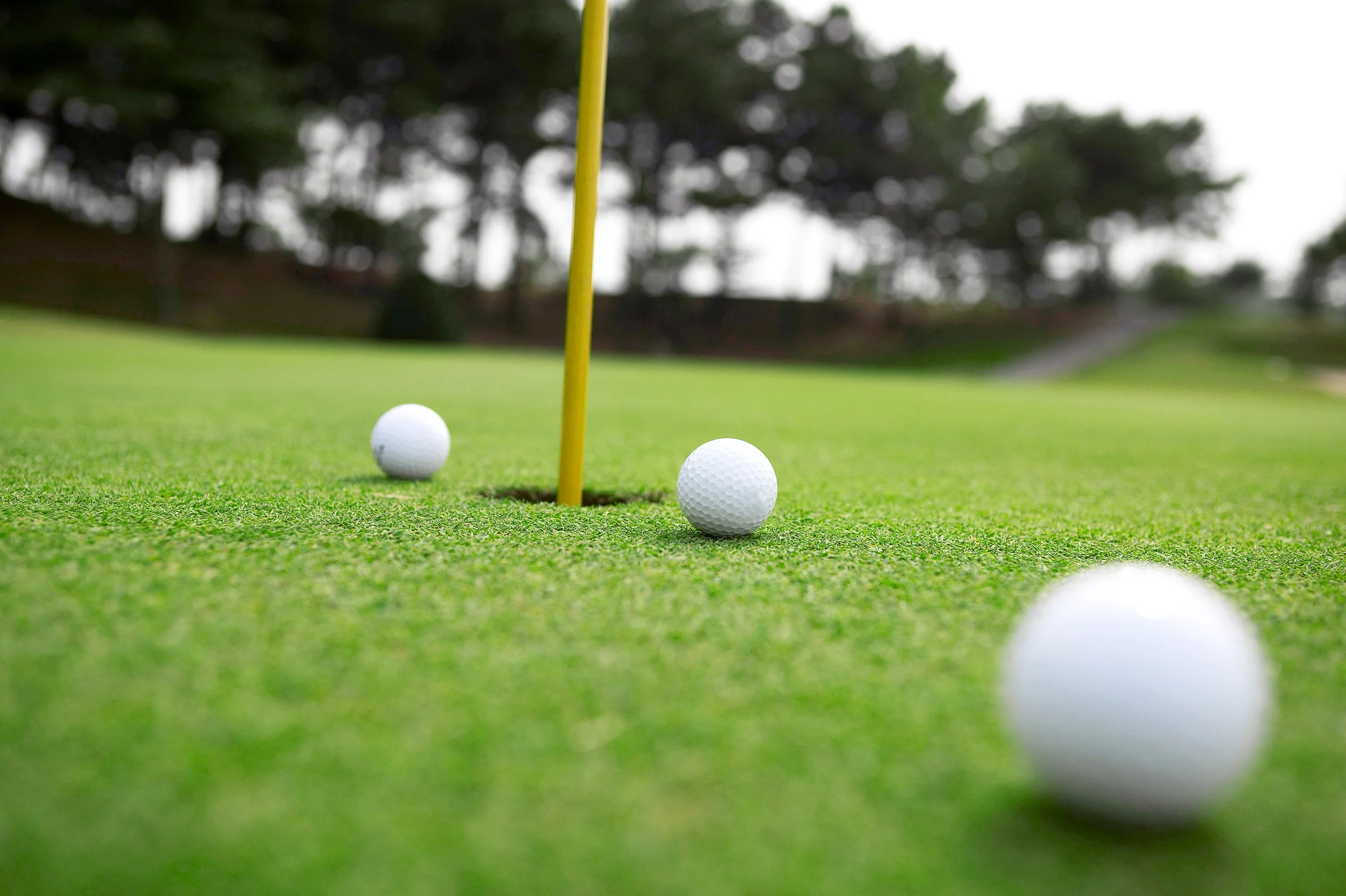 Golfers Fund Christmas!