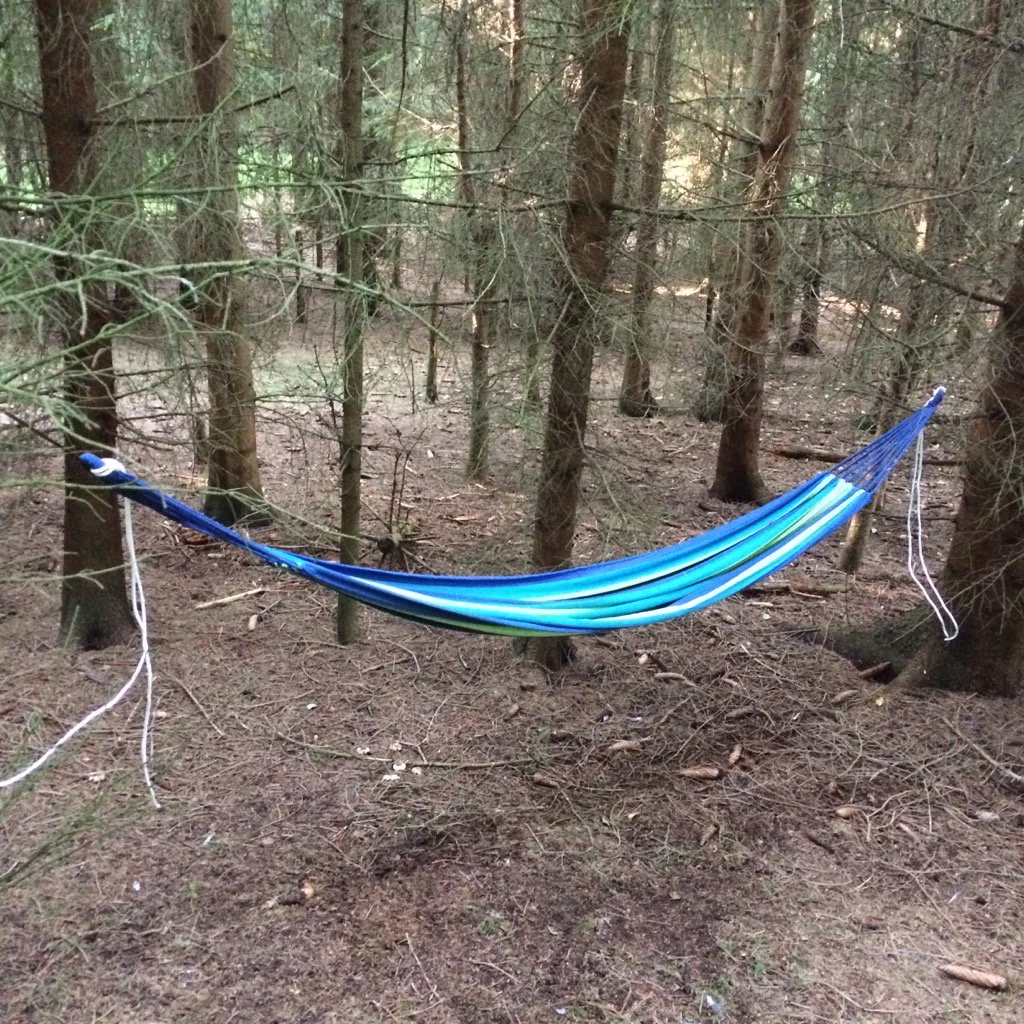 hammock.jpg