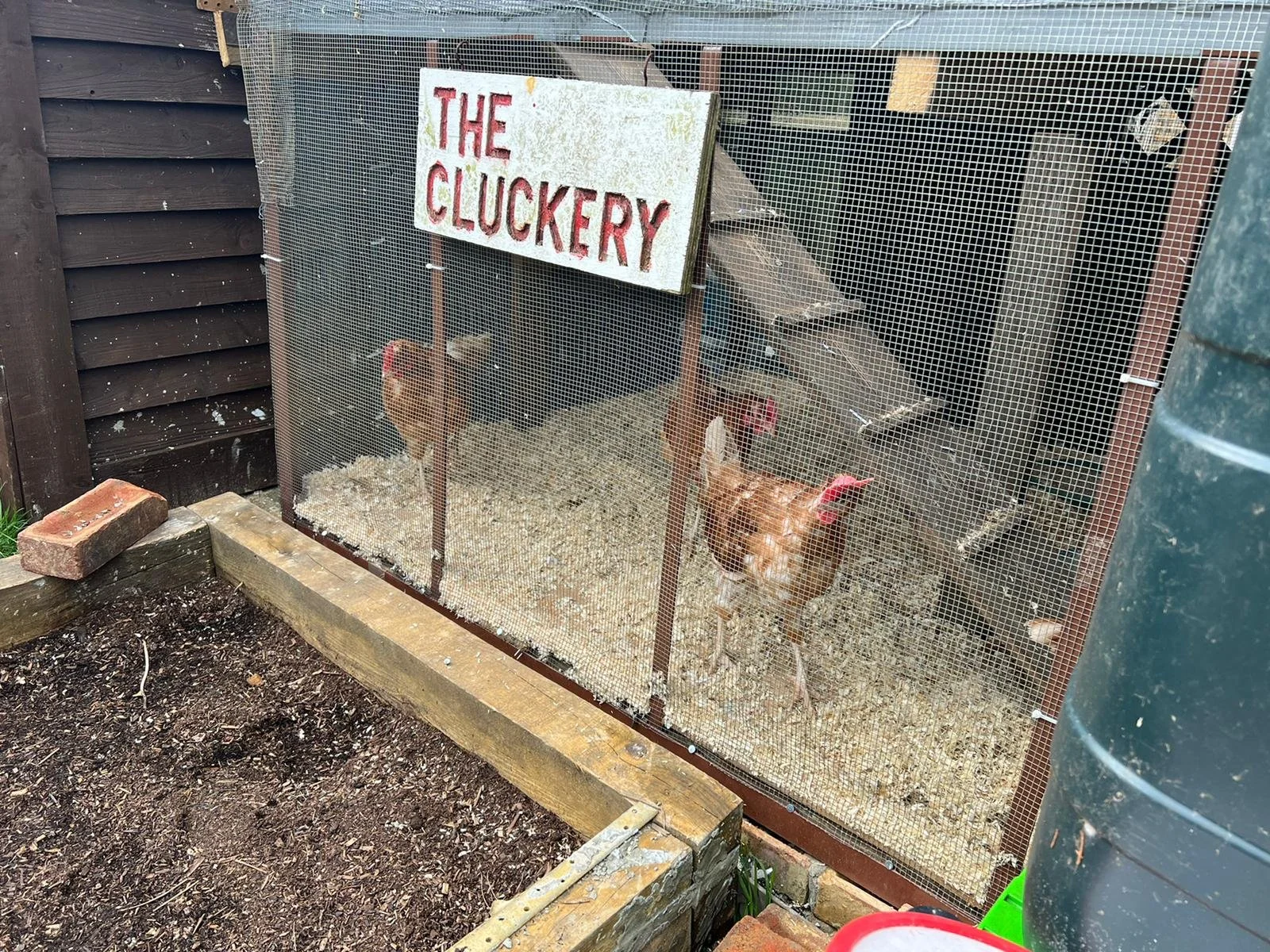 Egg-citing news!