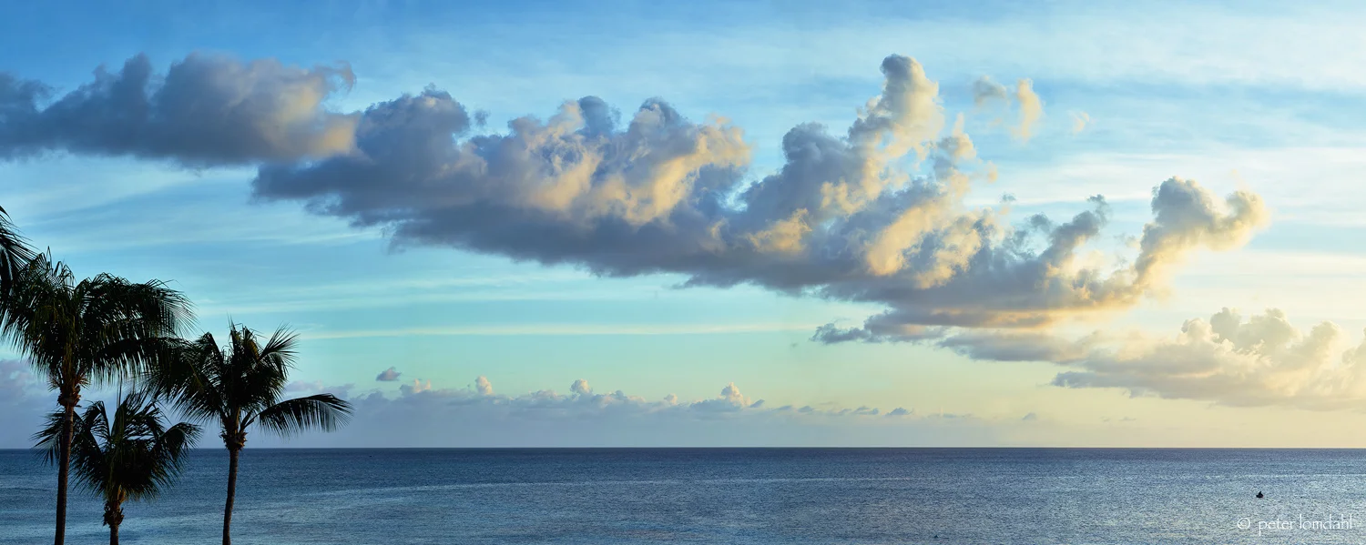 Grand Cayman 4 Alpa STC • IQ140 • SK120ASPH