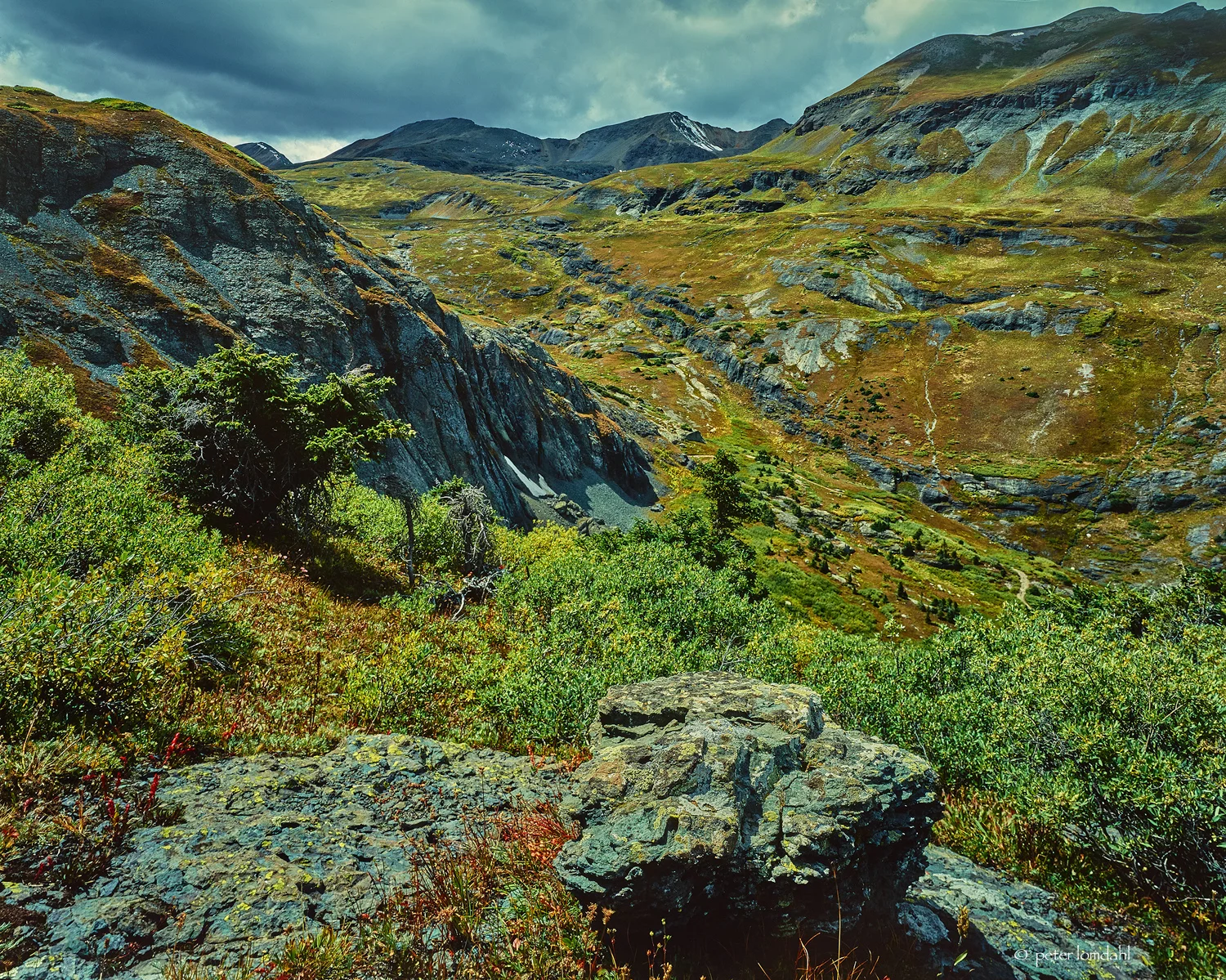 Telluride 2, CO Canham DLC 4x5 • RVP • RK90
