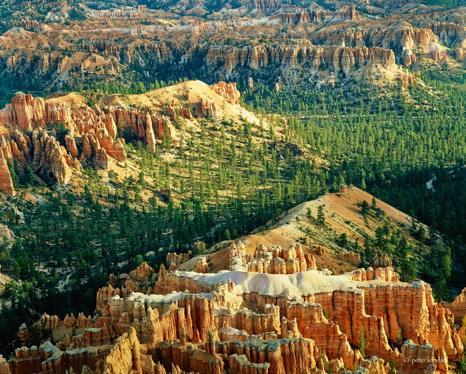 Bryce Canyon, UT Canham DLC 4x5 • RVP • SK210