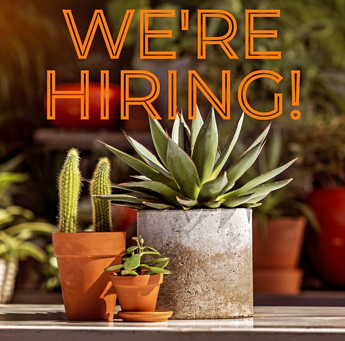 Calling all Plant People!
Do you have a green thumb and love creating beautiful things?

Modpots, Victoria&rsquo;s go-to for container gardening, is looking for a part-time Garden Assistant to join our awesome team!

You&rsquo;ll be:

Styling patios 