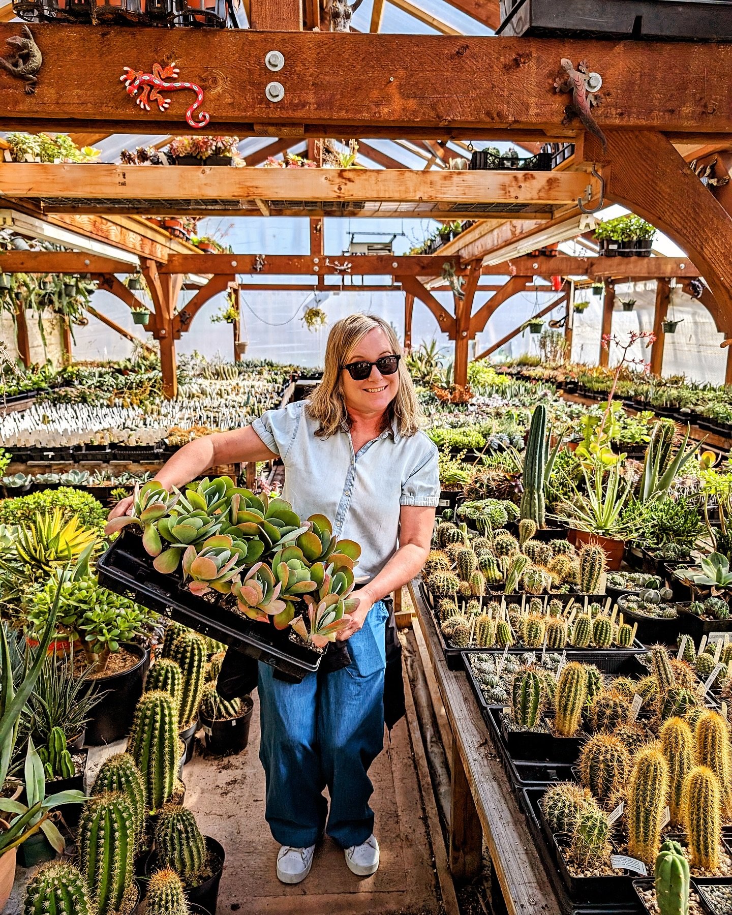 When you are in your happy place it just feels so darn good &hellip;.. 🌟🙋&zwj;♀️💚😎🤷🏼&zwj;♀️🌵

#happydance #happyplace #succulents #succulentlover #droughttolerant #xeriscape #containergardening #patio #patiolife #patioseason #yyjbusiness #yyjd