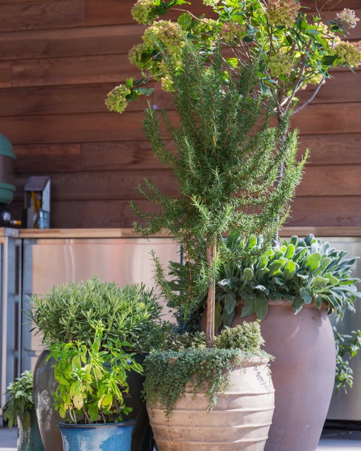 Hellooooo Spring! 

Is your herb garden ready yet? 
Let&rsquo;s talk herbs - rosemary, thyme, mint, oregano 

What will go in your pots this year? 
If you are inching to get in the garden herbs are a great way to get your hands on plants, in the soil