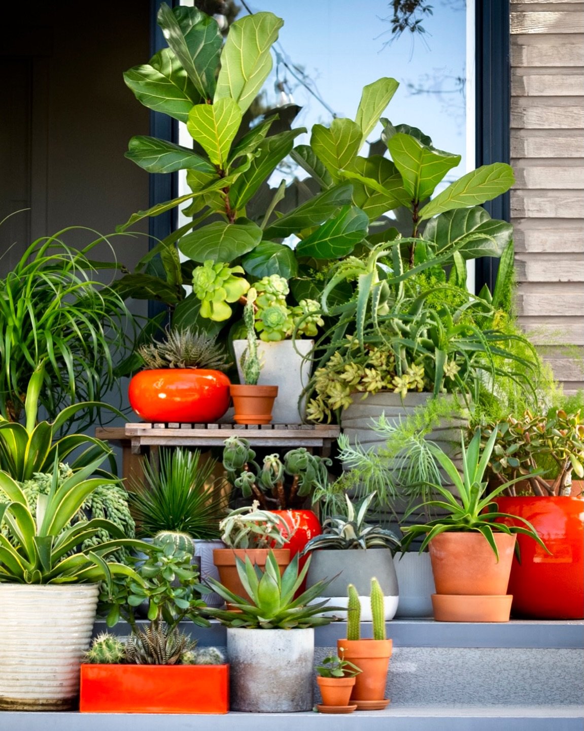 Something cheerful to end the week 🧡

We have always believed potted gardens can bring any yard, patio or space instant happiness 
Move them around, create vignettes, layer layer layer, or change it up. 

You can also do zone denial when you have a 