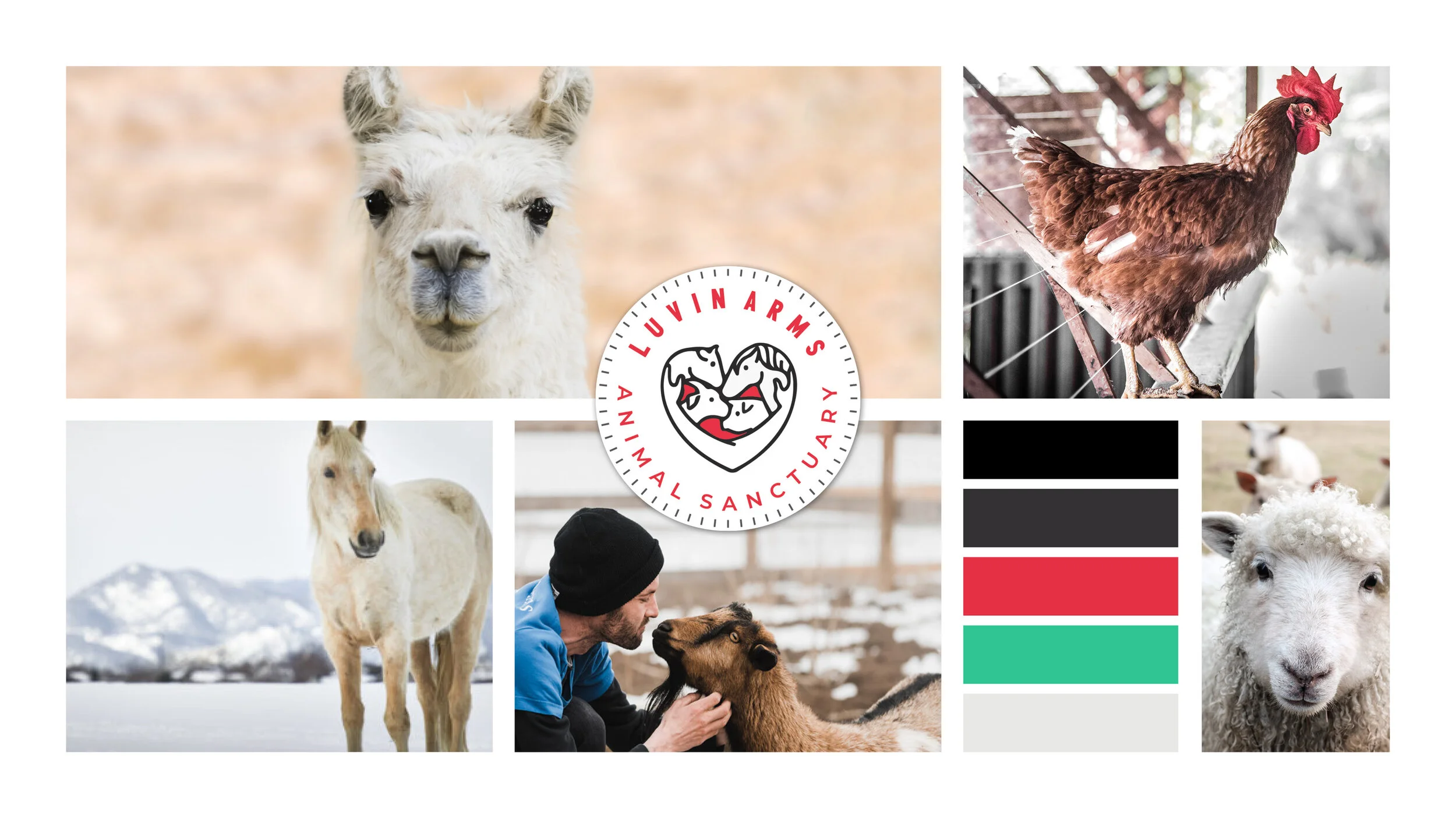 The Logo and Website for Madda Studio was created to launch the exclusive collection of handmade rugs and interior designs. Projects include logo design, supporting assets, marketing materials and squarespace website.