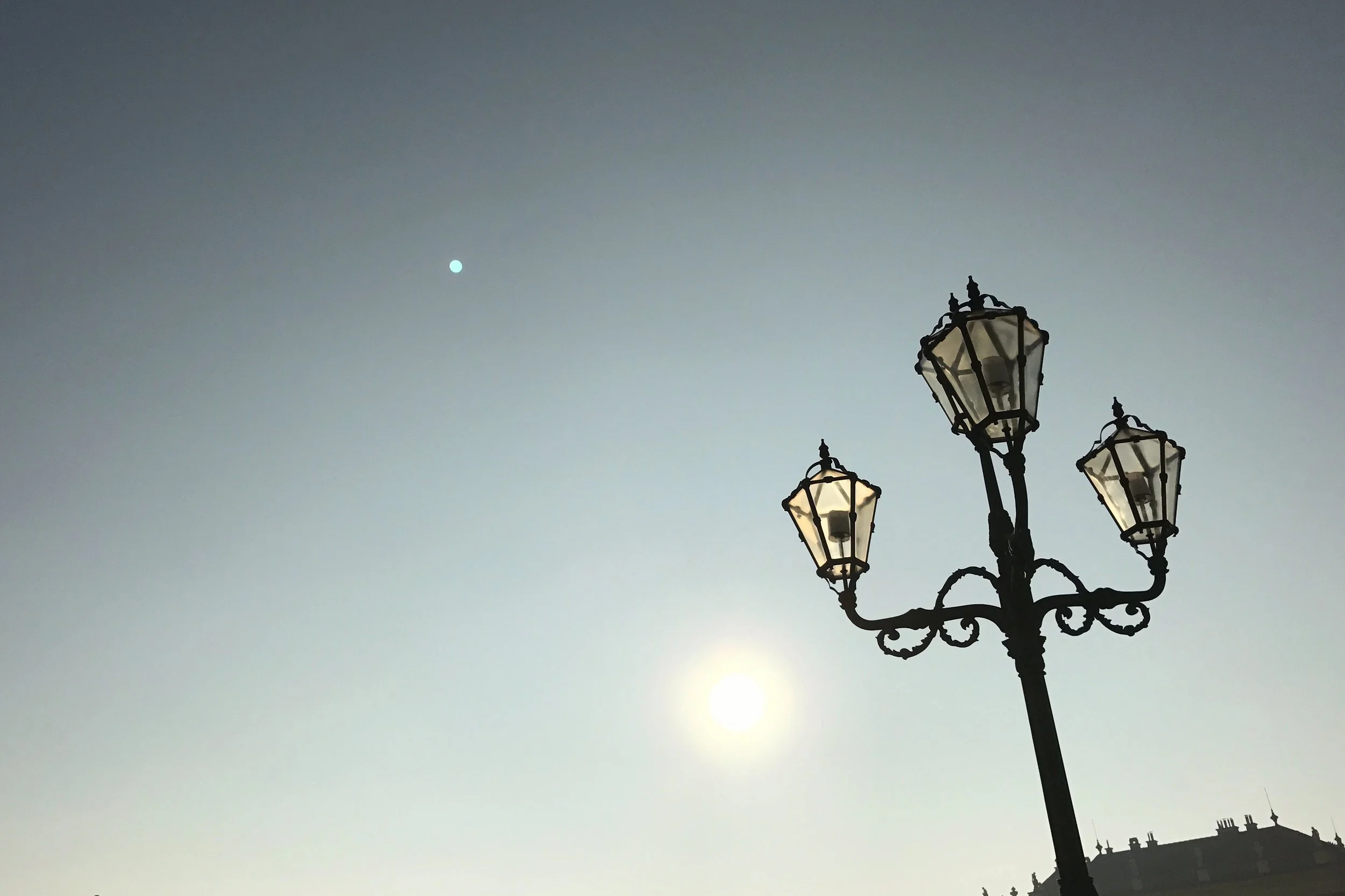IMG-9167.JPG