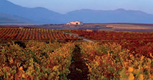 Bodegas landaluce.JPG