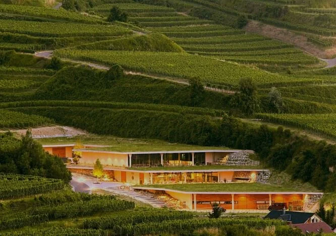 Winery Image.JPG