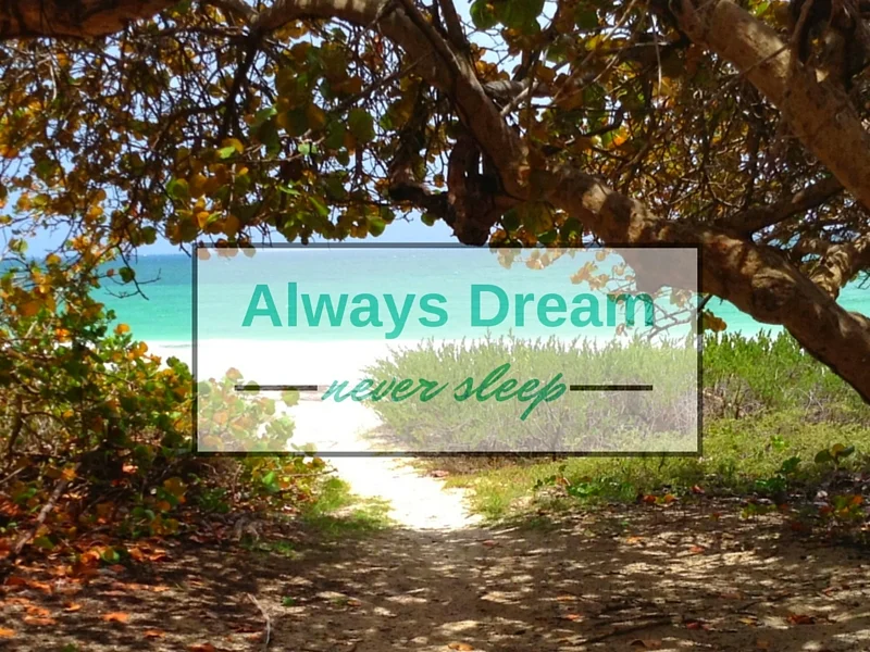 always-dream-never-sleep