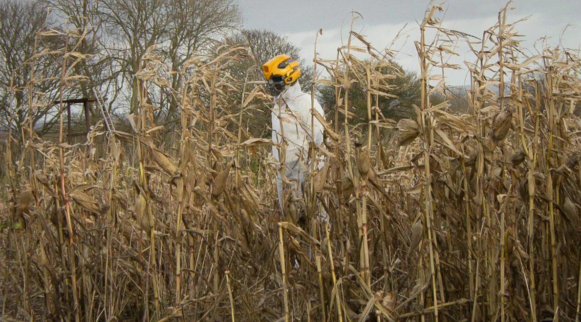 Image from The Fall